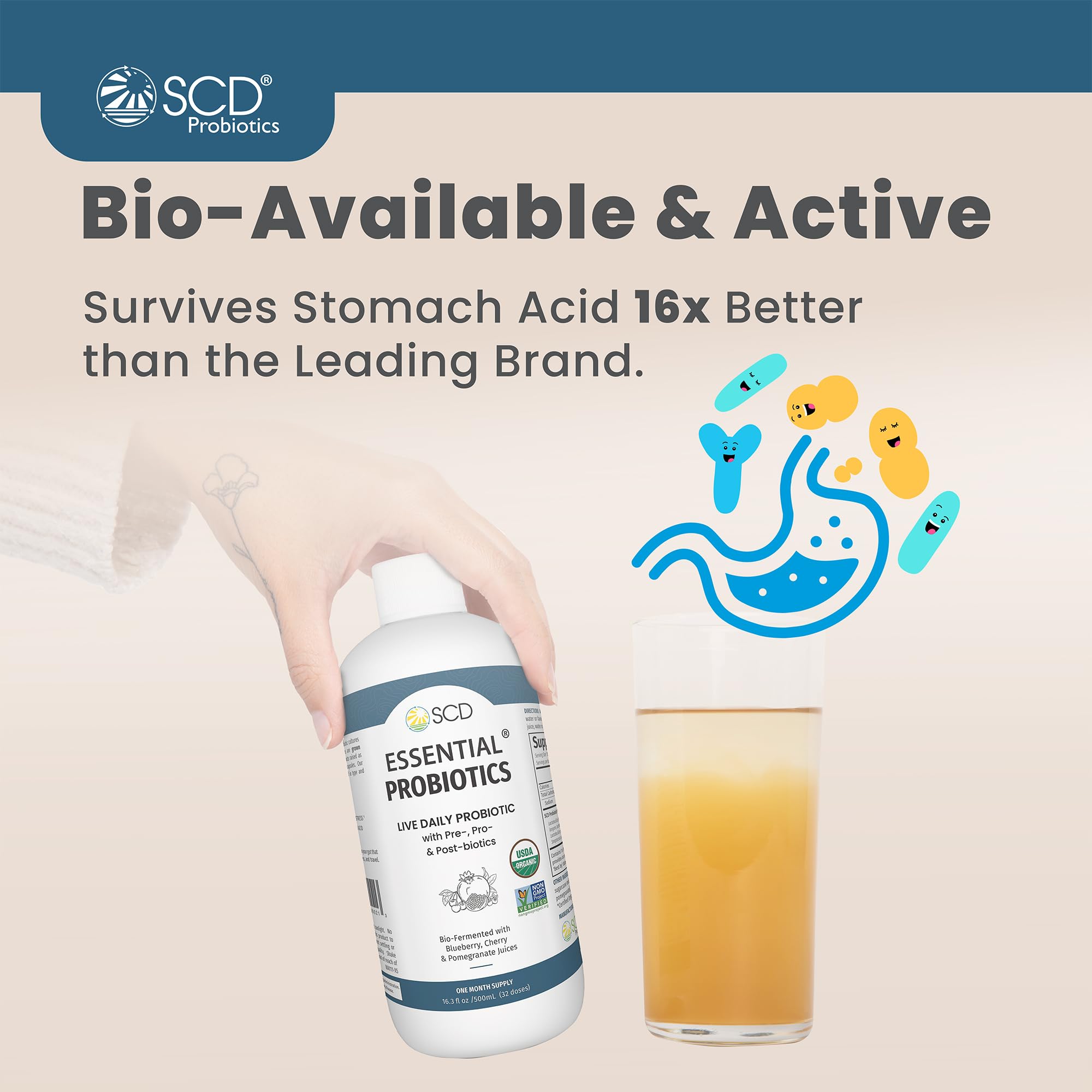 SCD Essential Probiotics for Women, Men, Kids & Toddlers - Live Probiotic Supplement for Digestion, Immunity & Gut Health - 11 Strains Liquid Probiotic - 16.3 fl oz (3 Pack) - Supports Daily Wellness for Families & Active Lifestyles