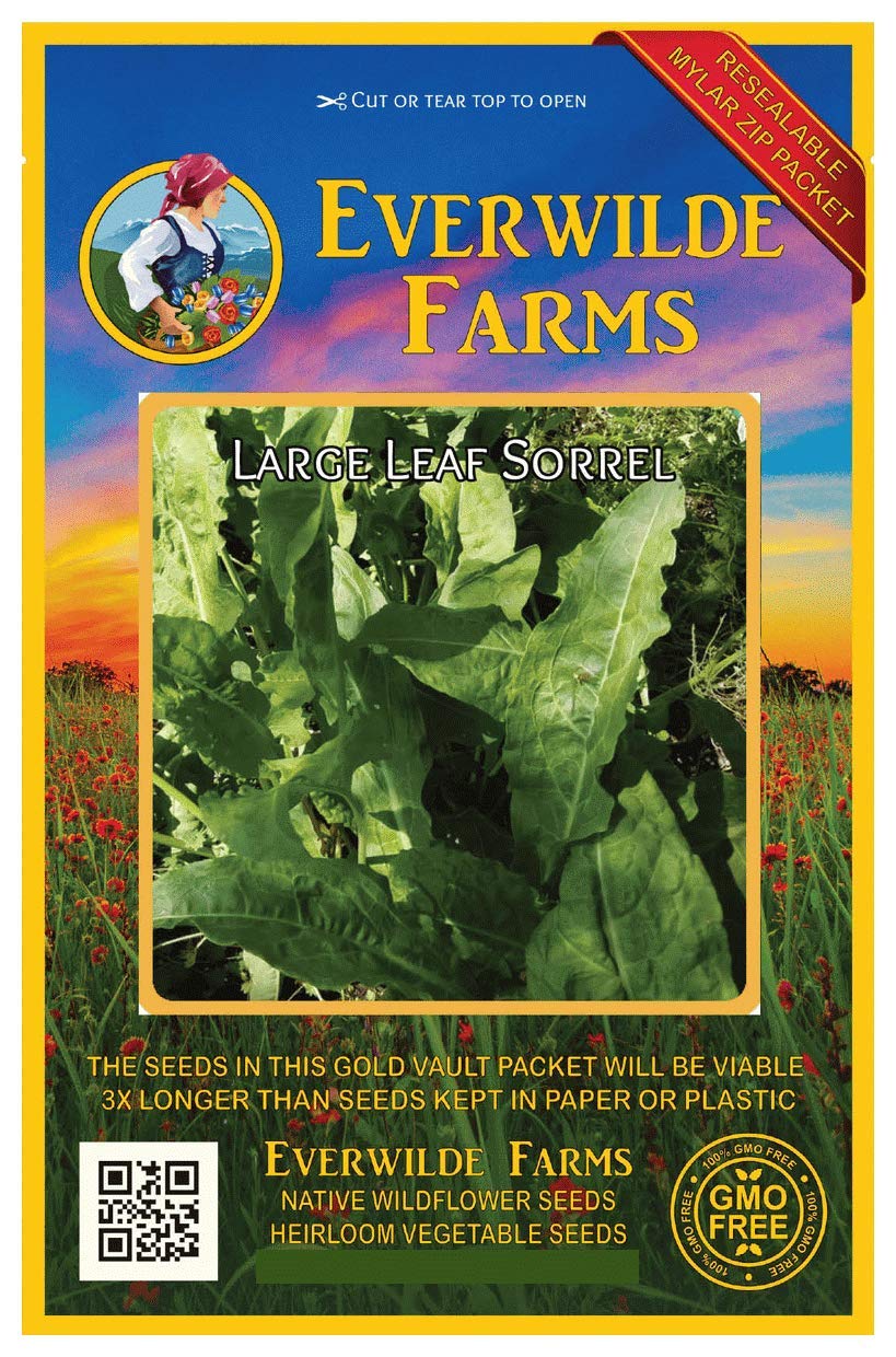 Everwilde Farms - 1000 Large Leaf Sorrel Herb Seeds - Non-GMO, Heirloom, Organic - Gold Vault Jumbo Seed Packet - Perfect for Home Gardening, Culinary Herbs & DIY Herb Gardens