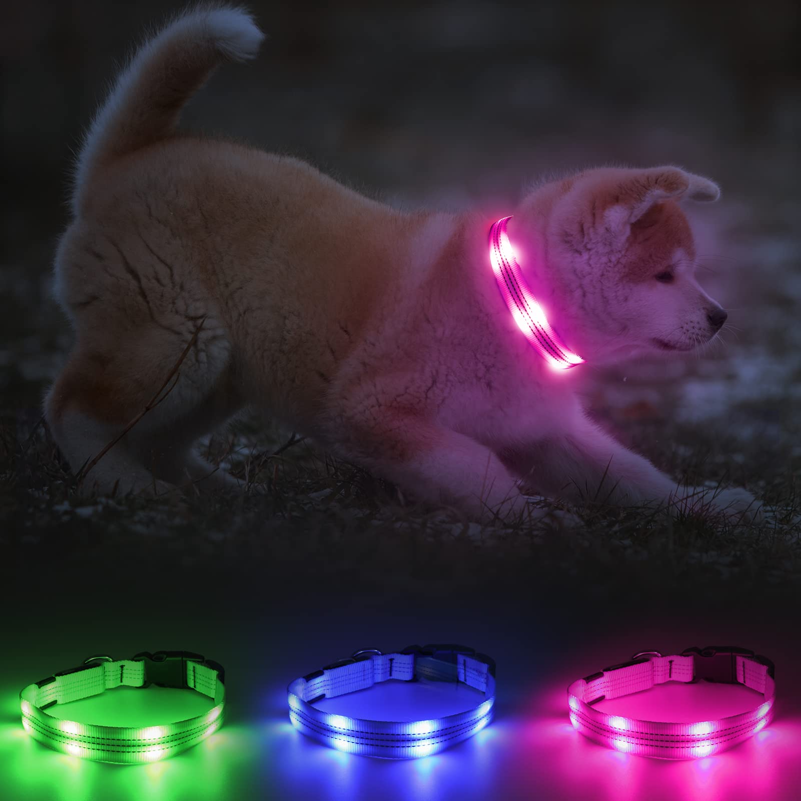 BSEEN LED Dog Collar with Light - Rechargeable Reflective Glowing Puppy Collar for Small Medium Large Dogs | Night Safety Walking, Jogging, Camping, and Outdoor Adventures