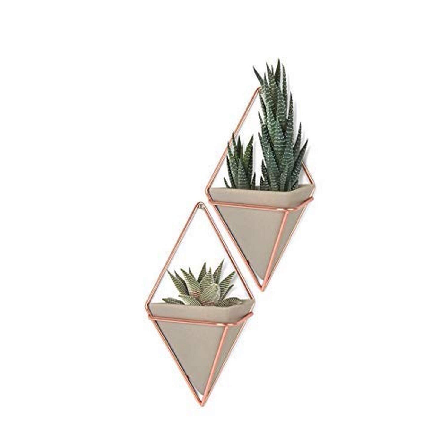 Umbra Altman 2.5 Inch Succulent Plants (4 Pack) - Small Copper Hanging Planter for Indoor Plants, Home & Office Decor - Perfect for Windowsills, Shelves, and Gift Giving