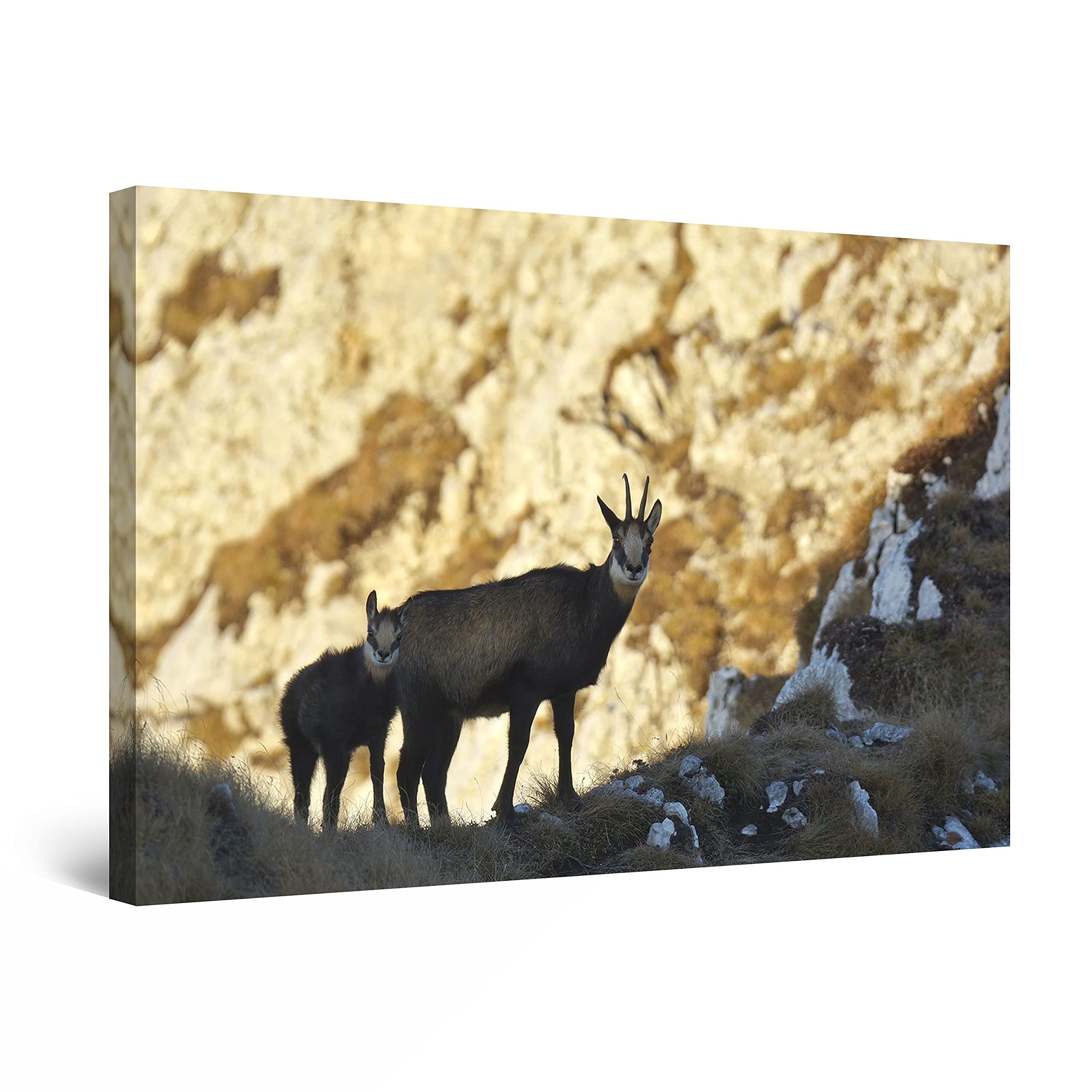 Mountain Goats Canvas Wall Art - 32x48 Inch Modern Landscape Painting for Living Room, Bedroom & Office Decor - Perfect for Nature Lovers & Home Styling