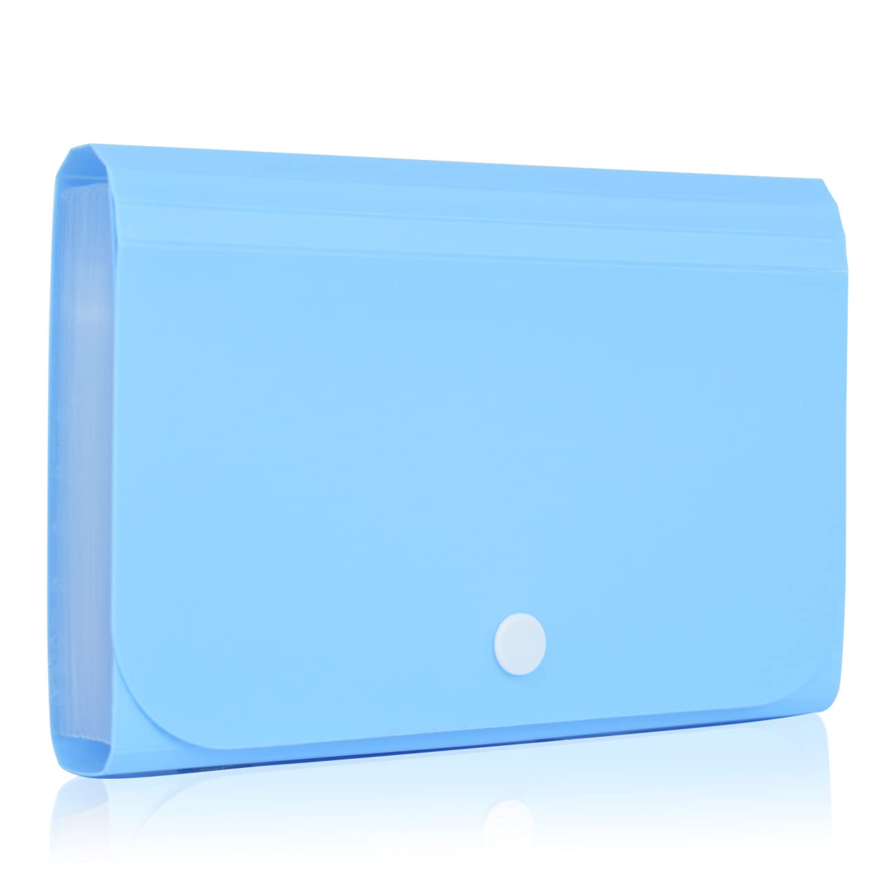 13-Pocket Accordion File Organizer Wallet - Mini Coupon & Receipt Holder for Cash, Tax Documents, and Change - 7x4.5 Inch Portable Check Case with Label Tabs (Blue) - Perfect for Grocery Shopping, Office Filing, and Travel Organization