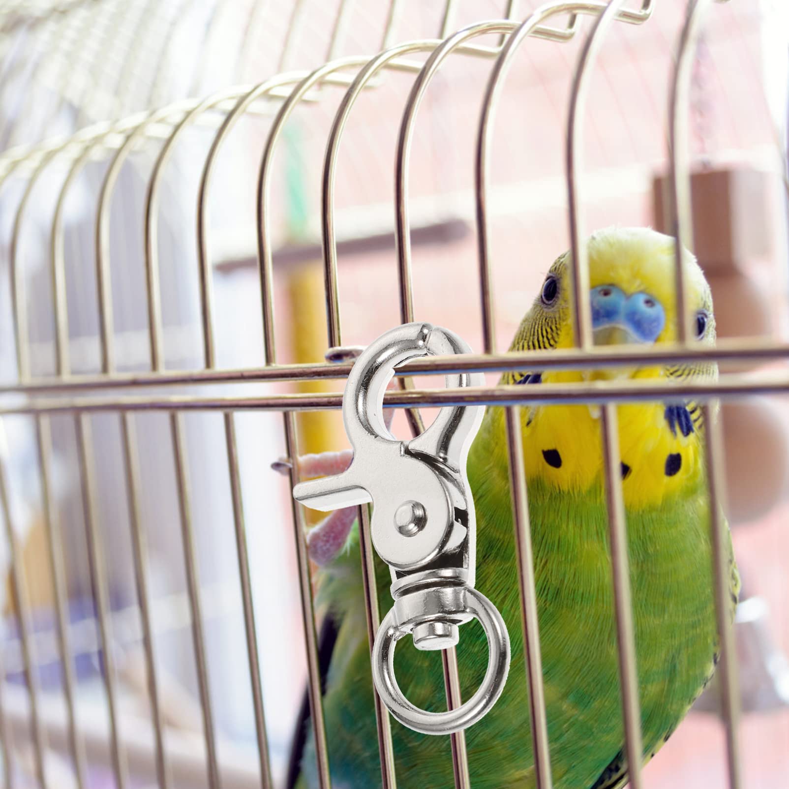 Stainless Steel Bird Cage Lock Clip - Secure Door Buckle Lock Claw for Parrots & Small Pets (5-Pack) | Perfect for Travel, Home & Outdoor Use