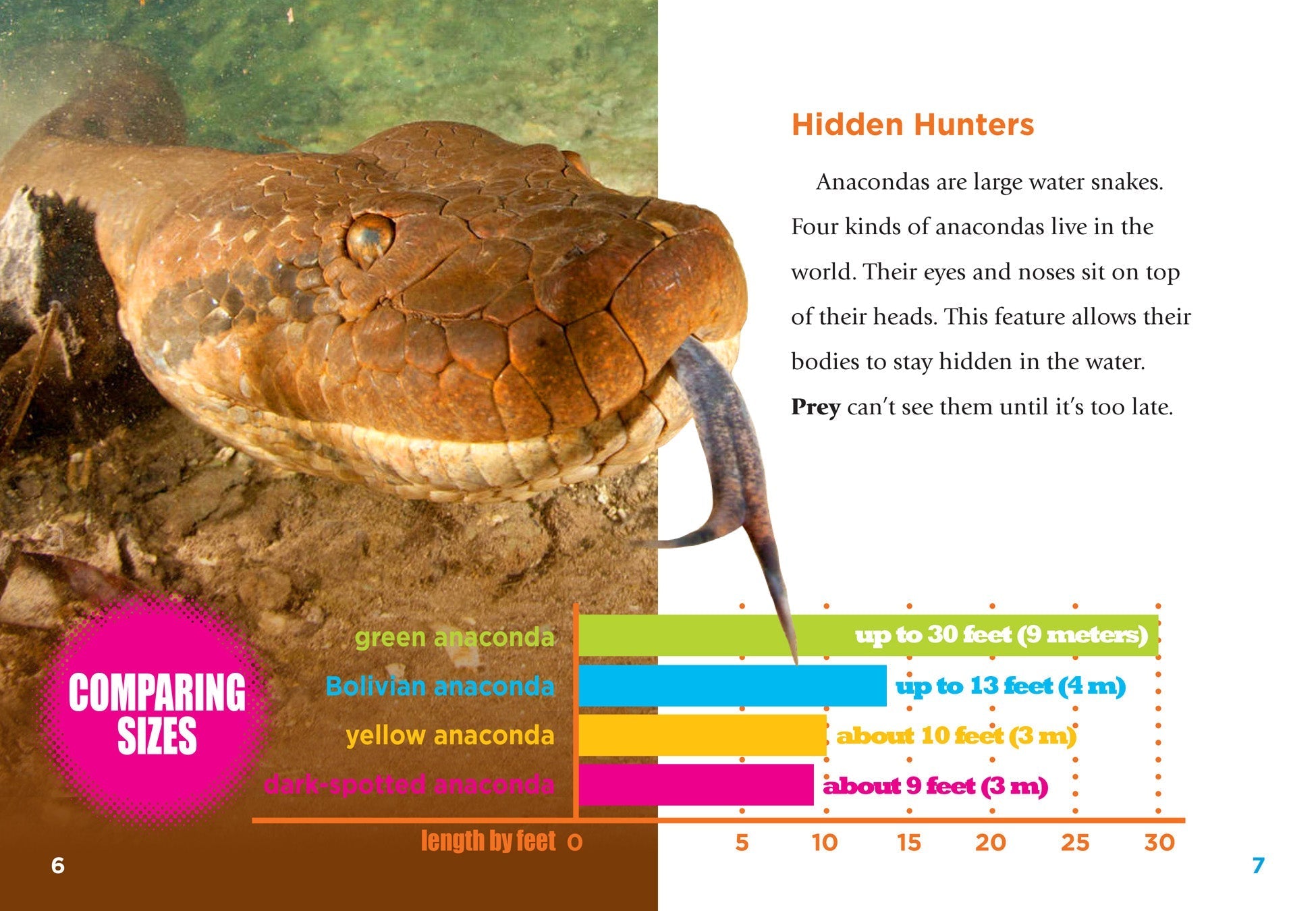 Anacondas Book - 9781680724394 | Fascinating Facts & Photos About Giant Snakes | Perfect for Reptile Lovers & Science Enthusiasts