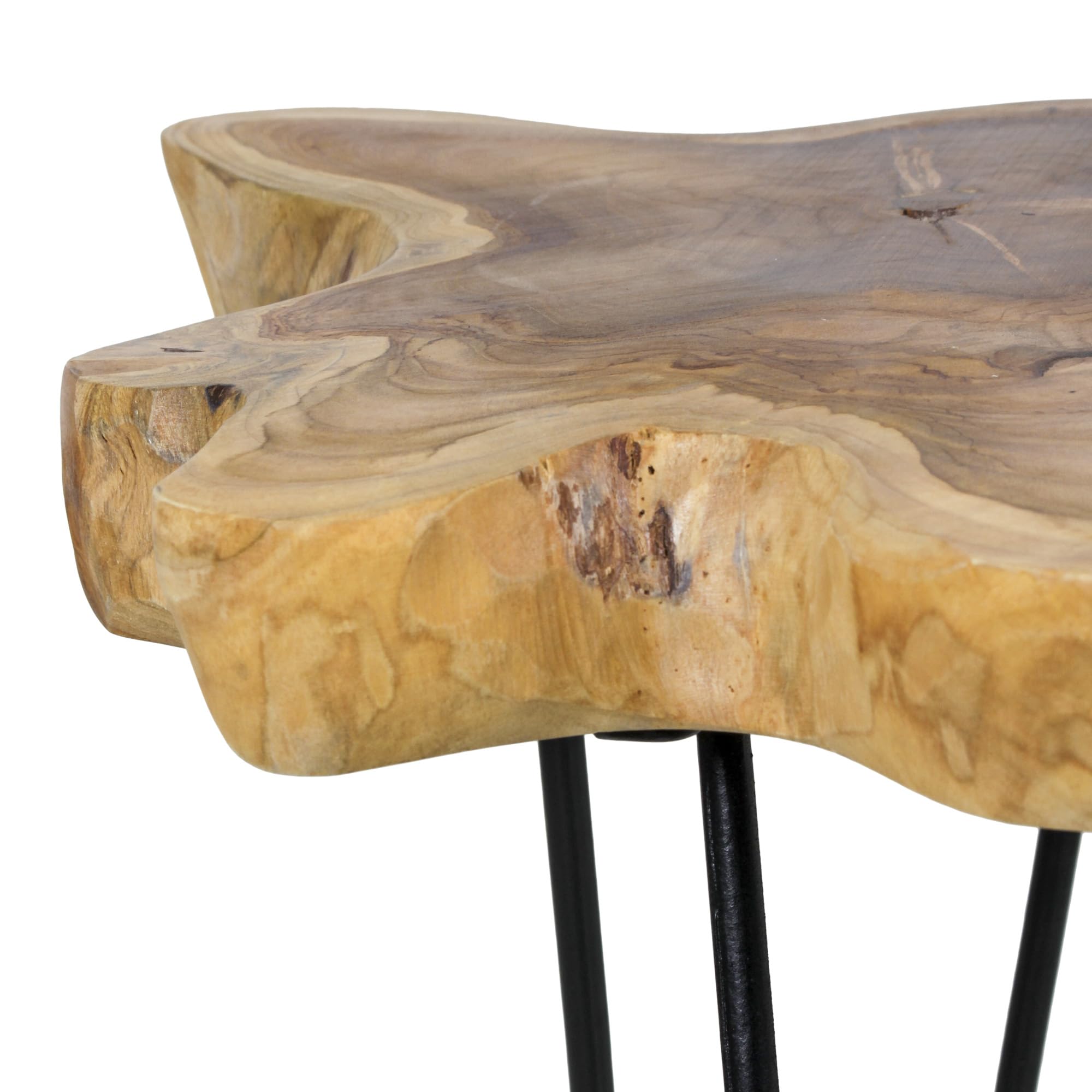 Sustainable Teak Wood Side Table with Metal Legs - Modern Tree Stump End Table for Living Room, Bedroom, Office | Perfect as Plant Stand, Nightstand or Coffee Table Accent