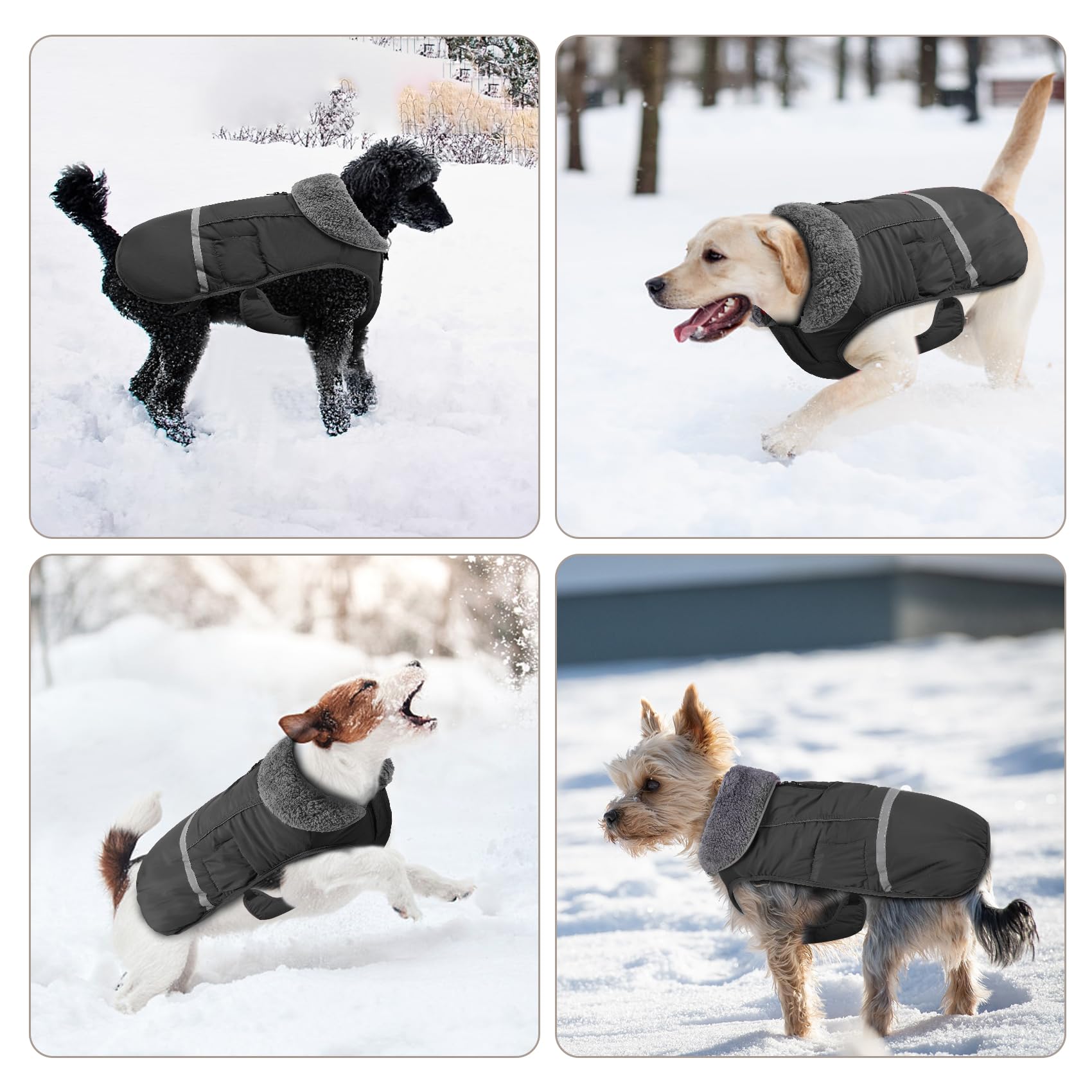 Doglay Waterproof Dog Winter Coat - Thick Fleece Lining & Reflective Design for Small Medium Large Dogs | Cold Weather Protection for Walking, Hiking & Outdoor Adventures