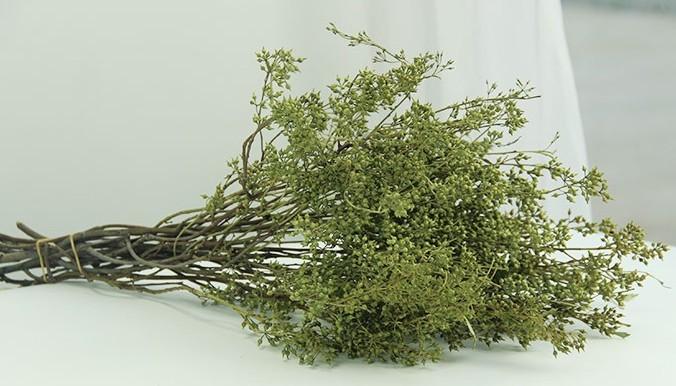 Natural Dried Seek & Botanical Flowers for Home Decor | Eco-Friendly Seed Stalks & Greenery | Perfect for Boho, Farmhouse & Wedding Decorations
