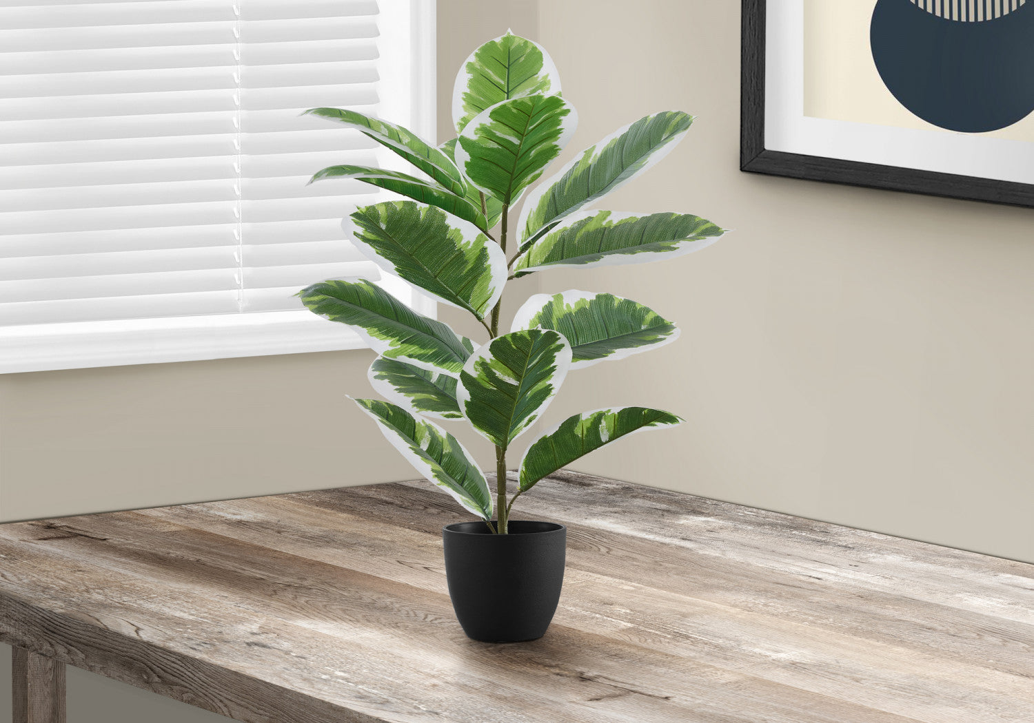 27 Inch Ficus Elastica Rubber Plant in 5 Inch Black Pot - Indoor Houseplant for Home, Office, and Living Room Decor