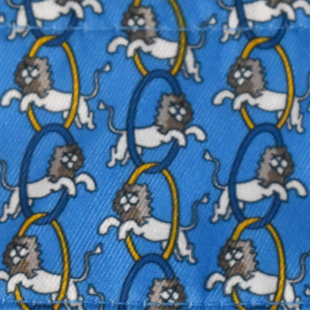 Lions