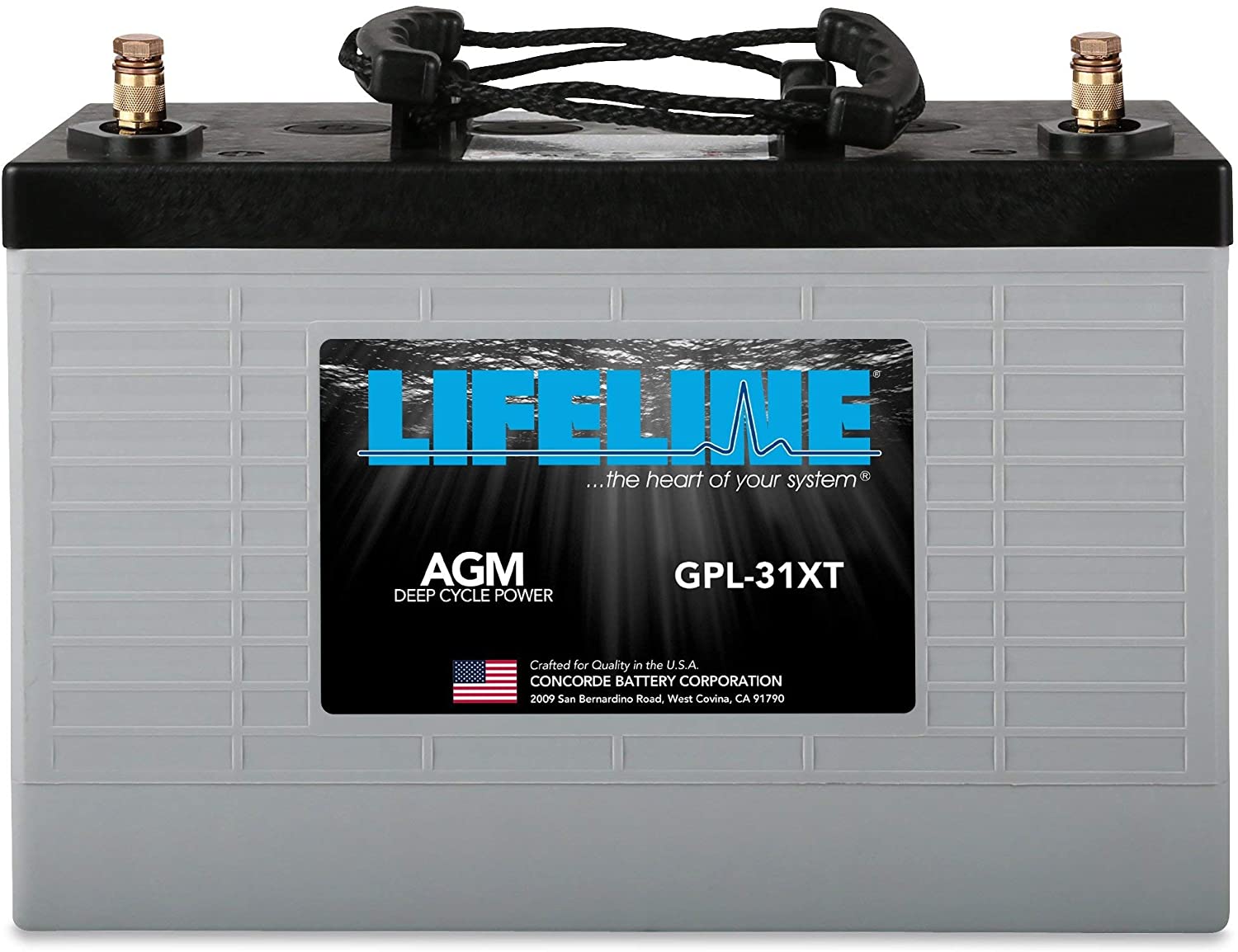 Lifeline GPL 31XT 12V 125AH Deep Cycle Marine Battery for Boats, RVs, Solar Systems & Off-Grid Power - Perfect for Marine, RV, and Automotive Applications