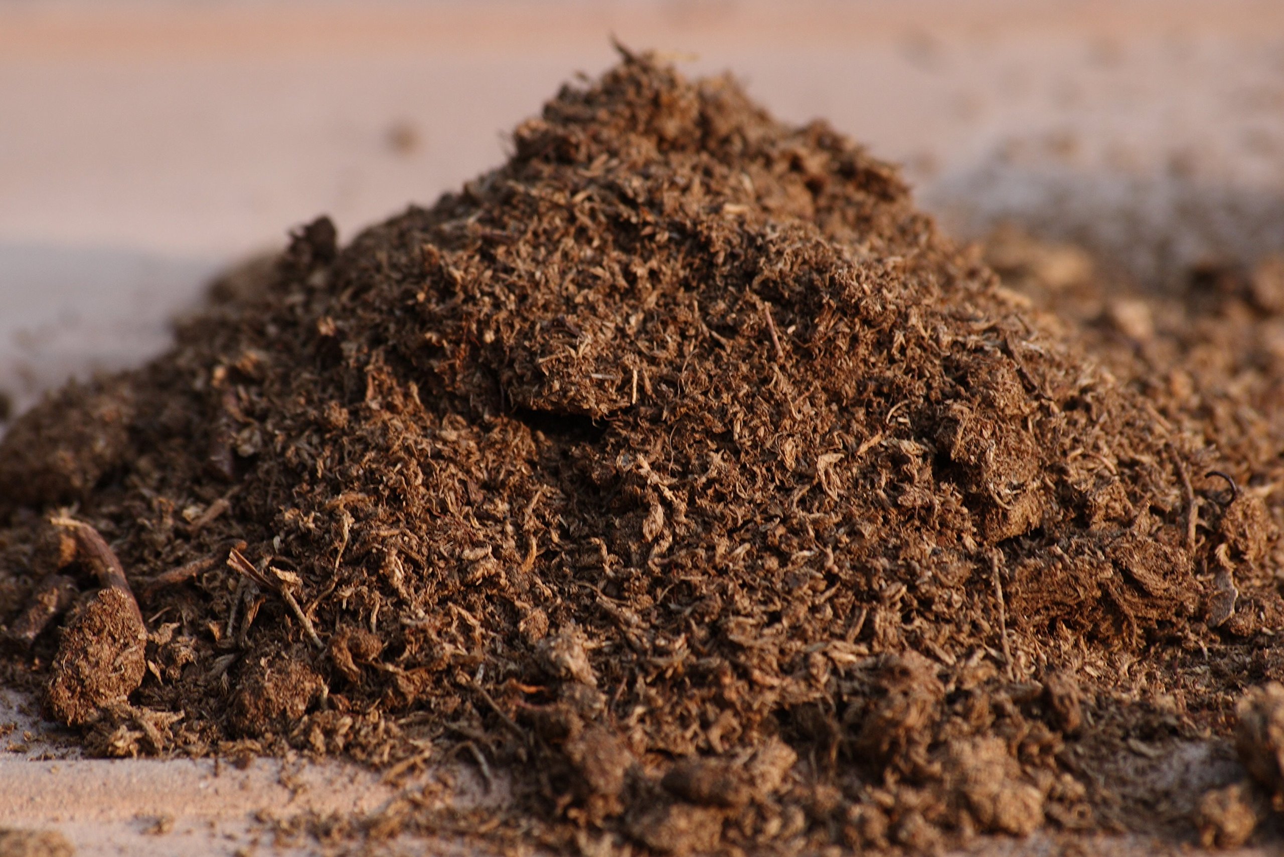 Premium Sphagnum Peat Moss for Gardening - 1 Quart | Organic Soil Amendment for Plants, Flowers & Vegetables | Ideal for Potting Mix, Seed Starting & Hydroponics
