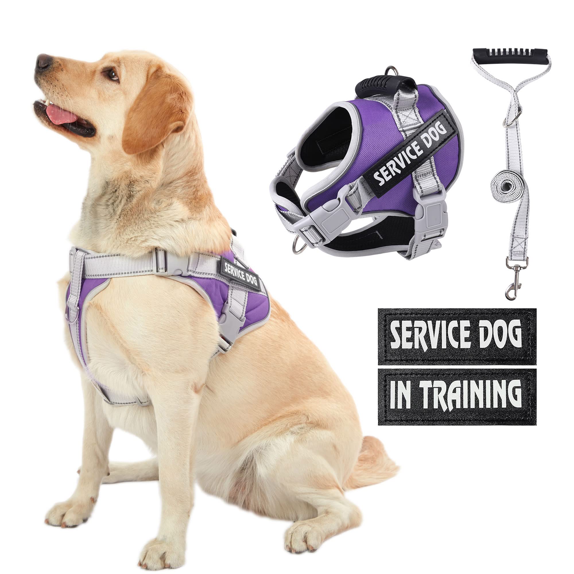 Service Dog Vest Harness - No Pull Training Harness with Handle & 5ft Leash, Adjustable Reflective Pet Harness for Small Medium Large Dogs - Walking, Running, Outdoor Adventures (Purple, Size S)