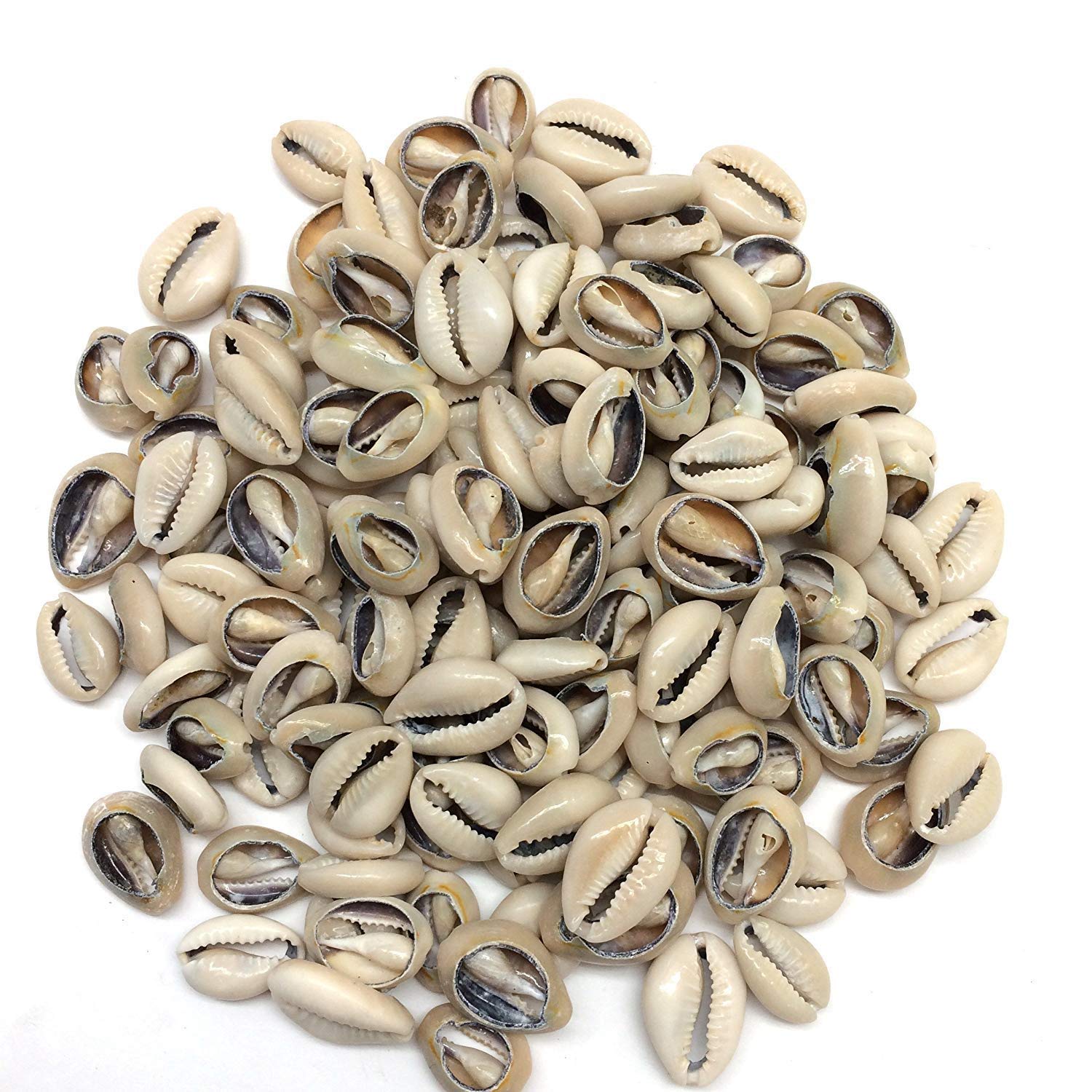 200+ Pcs Medium Bulk Cut Sea Shell Beads Cowrie Loose Cowry for Jewelry Making, DIY Crafts, Necklace & Bracelet Designs - Perfect for Beach Theme Decorations & Boho Fashion Accessories