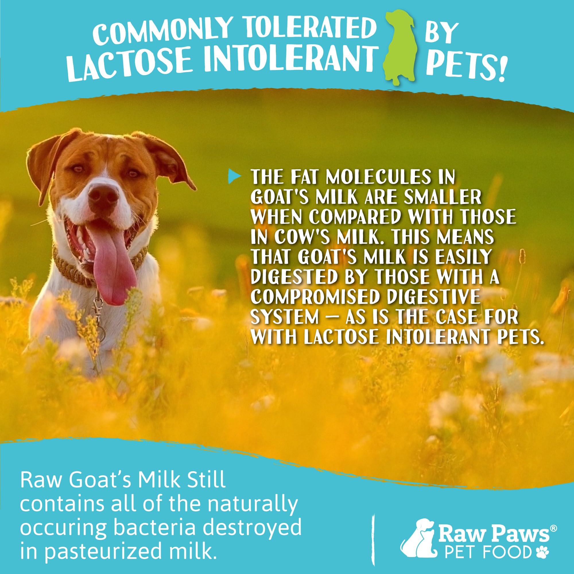Raw Unpasteurized Goat Milk for Dogs & Cats - 16oz (14 Pack) | Natural Pet Milk Replacer for Puppies & Kittens | Digestive Supplement for Sensitive Stomach | Frozen Raw Goat Milk Topper for Dog Food | Perfect for Hydration, Nutrition & Picky Eaters