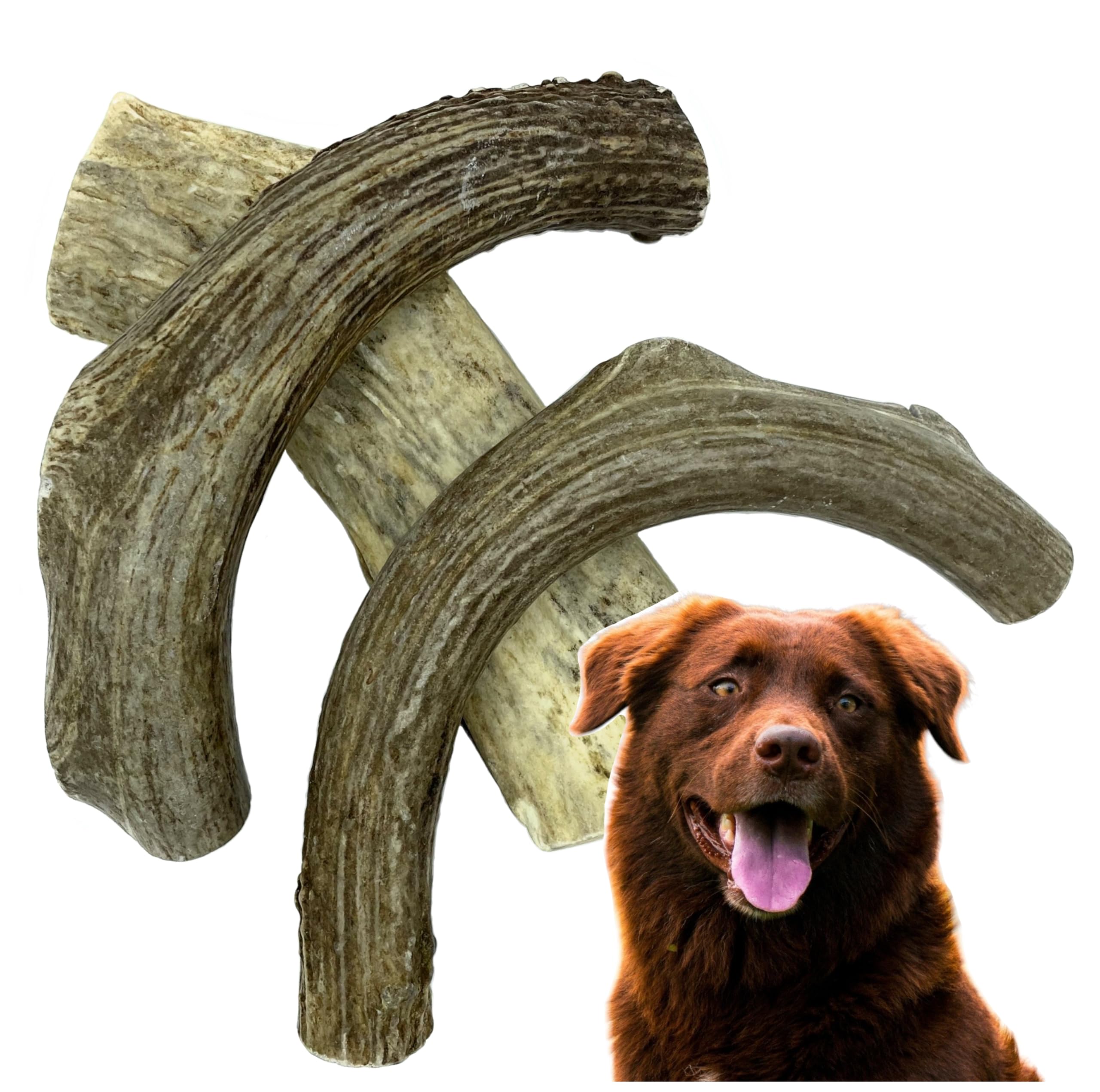Premium Deer Antler Dog Chews (Large 3 Pack, 6-7 Inches) - Natural, Long-Lasting Dog Chew Toy for Medium to Large Breeds - Ethically-Sourced & Irresistible - Perfect for Teething, Dental Health & Aggressive Chewers