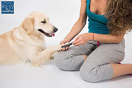 Professional Dog & Cat Nail Filer - Safe Pet Nail Grooming Tool for Smoothing Rough Edges | Perfect for Small & Large Dogs & Cats | Ideal for Home Grooming & Vet Clinics (1 Pack)
