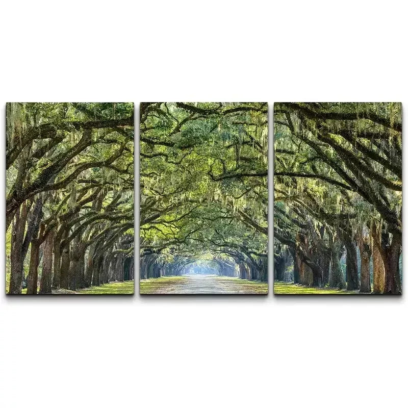 3-Piece Tree Arches Natural Wilderness Wall Art Set - Framed Canvas Prints 50x70cm - High Quality Australian Made Wall Decor - Perfect for Living Room, Bedroom & Office Decor
