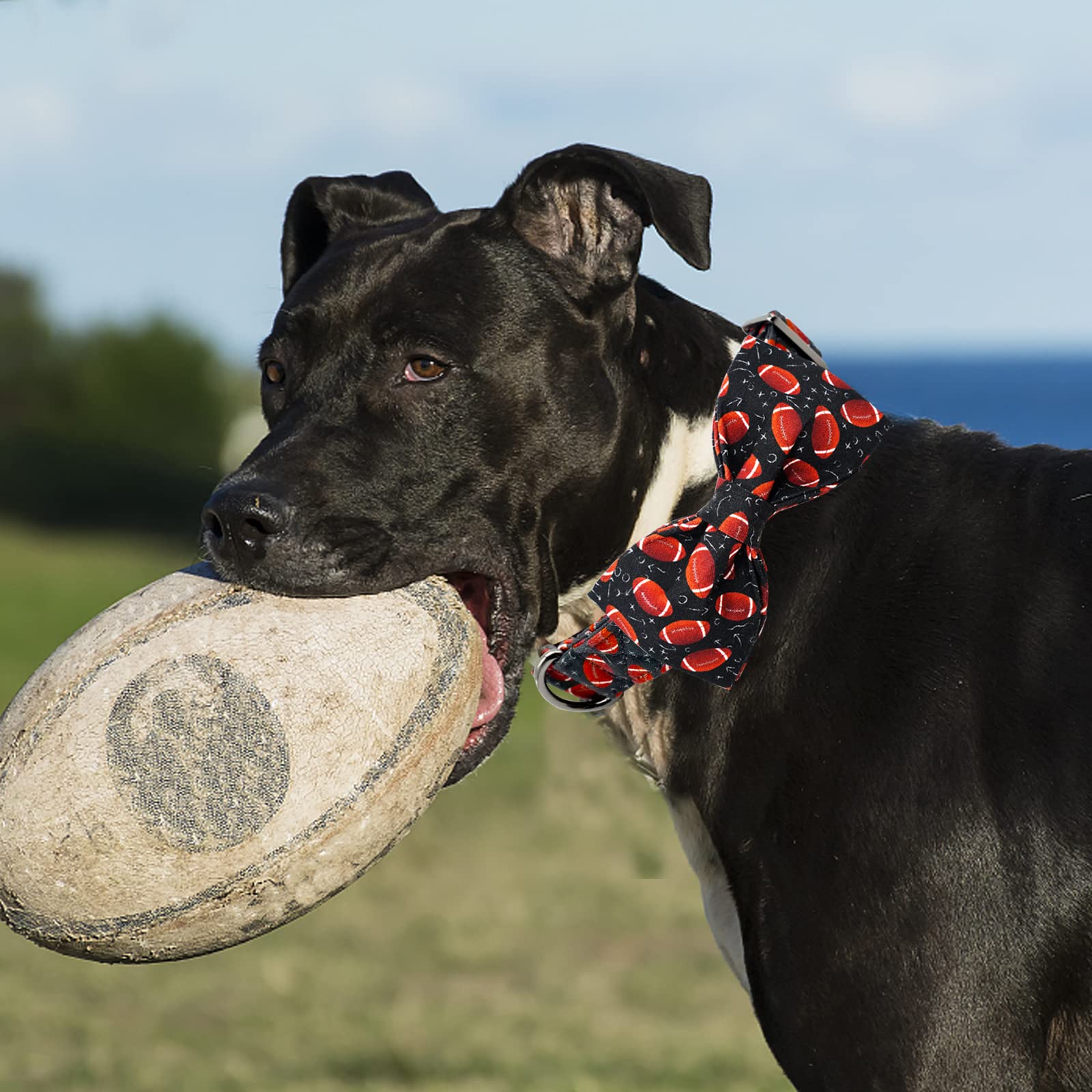 Lionheart Glory Adjustable Cotton Dog Bow Tie Collar for X-Large Dogs - Handmade Comfortable Rugby Style Pet Accessory for Weddings, Parties & Photo Shoots