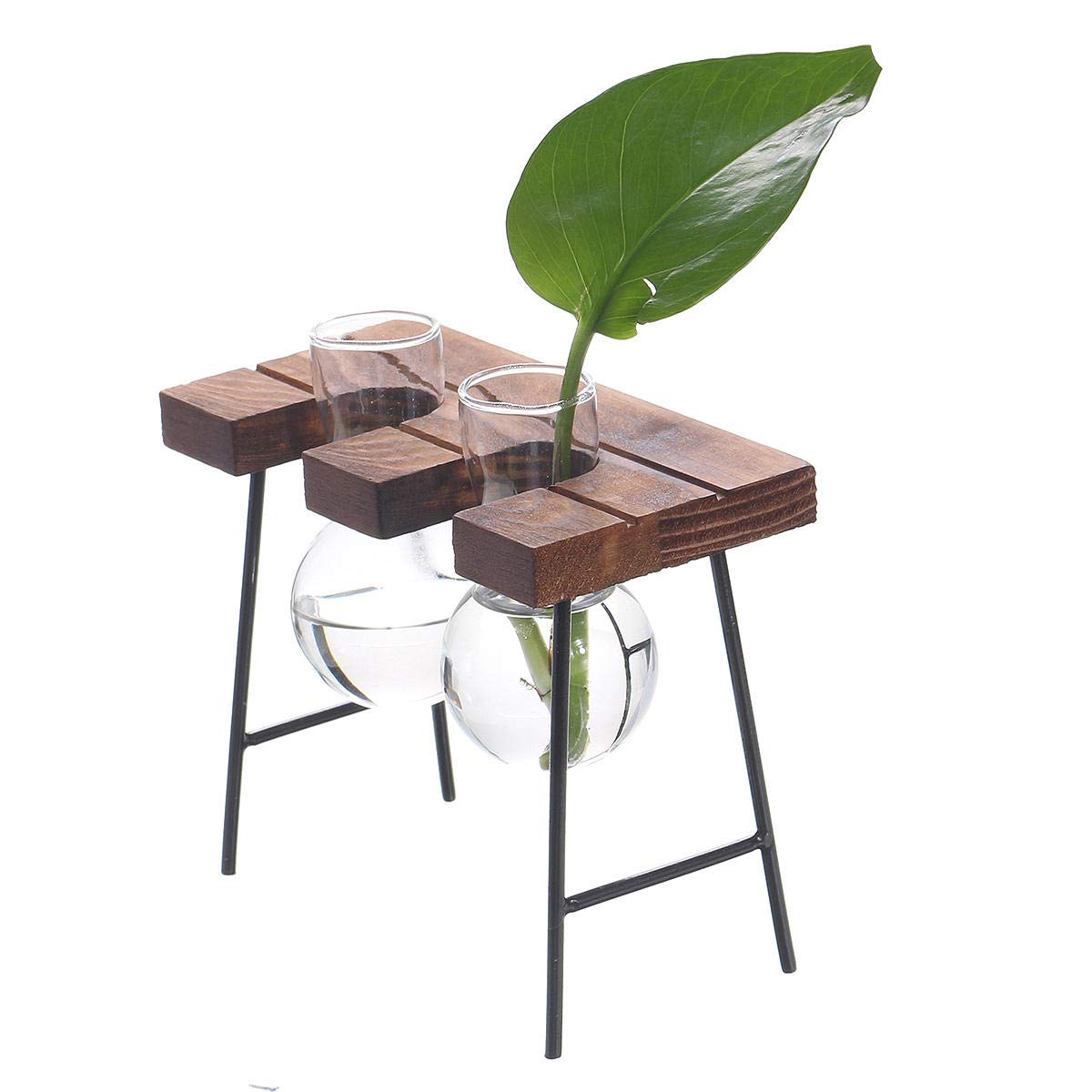 AOOF Glass Hydroponic Planter Vase with Wooden Stand - Ball Shape Flower Bottle for Home, Office, Table & Desk Decor - Perfect for Indoor Plants, Succulents, and Floral Arrangements (#3 Color Option)