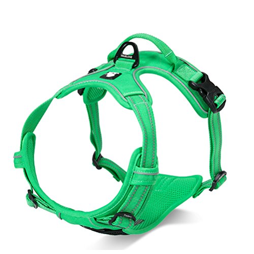 Grass Green(2018 new)