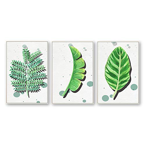 Plants-1909-n10