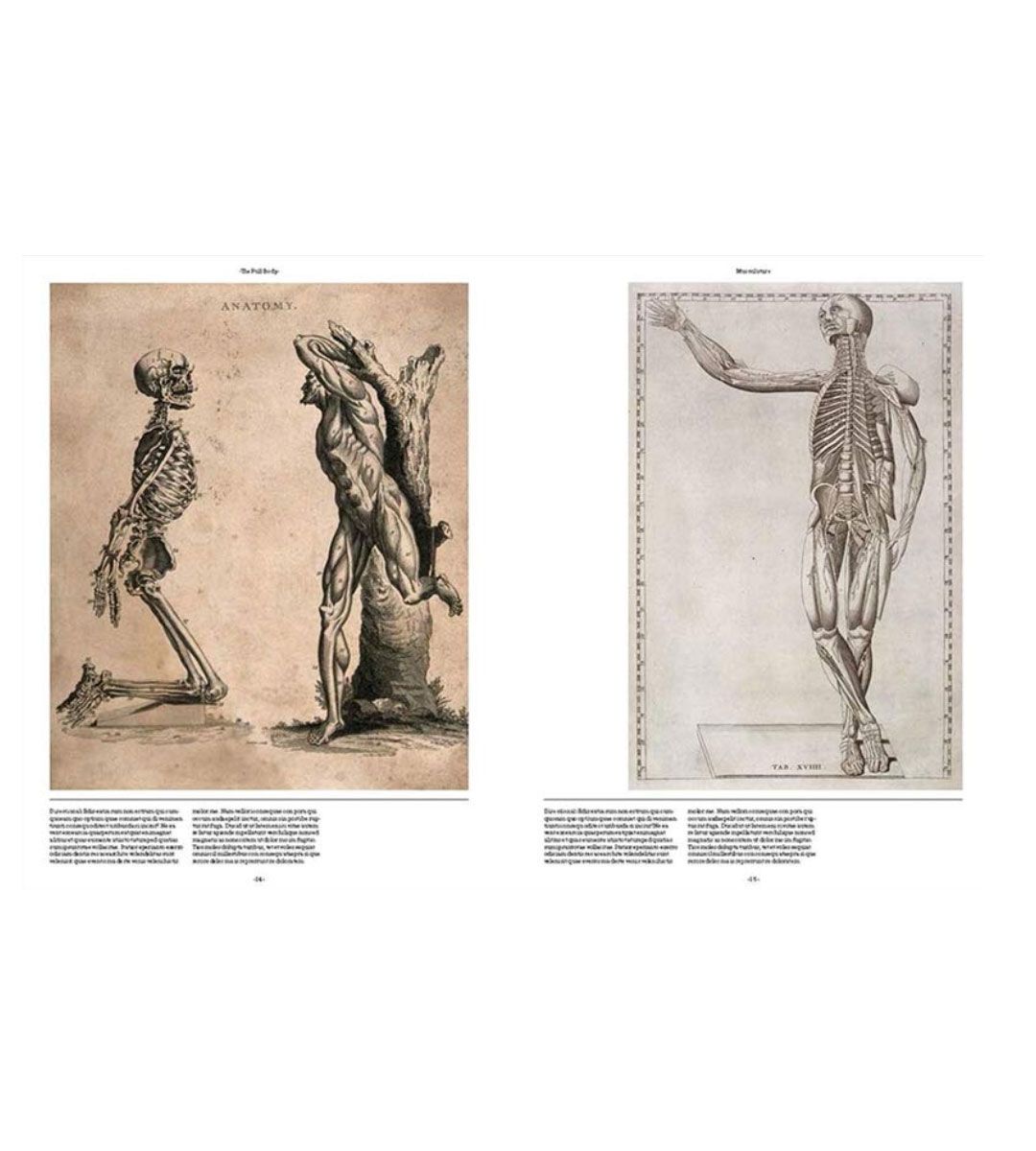 Anatomica: The Exquisite Art of Human Anatomy - Perfect for Medical Students, Artists & Science Enthusiasts