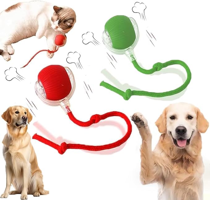 2 Packs Smart Automatic Rolling Pet Toy Ball - Interactive 360° Electric Dog & Cat Toy for Training & Play - Perfect Gift for Kids & Pet Lovers | Indoor & Outdoor Fun for Dogs, Cats & Small Pets
