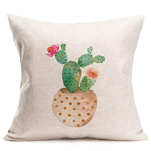 Rose Cactus