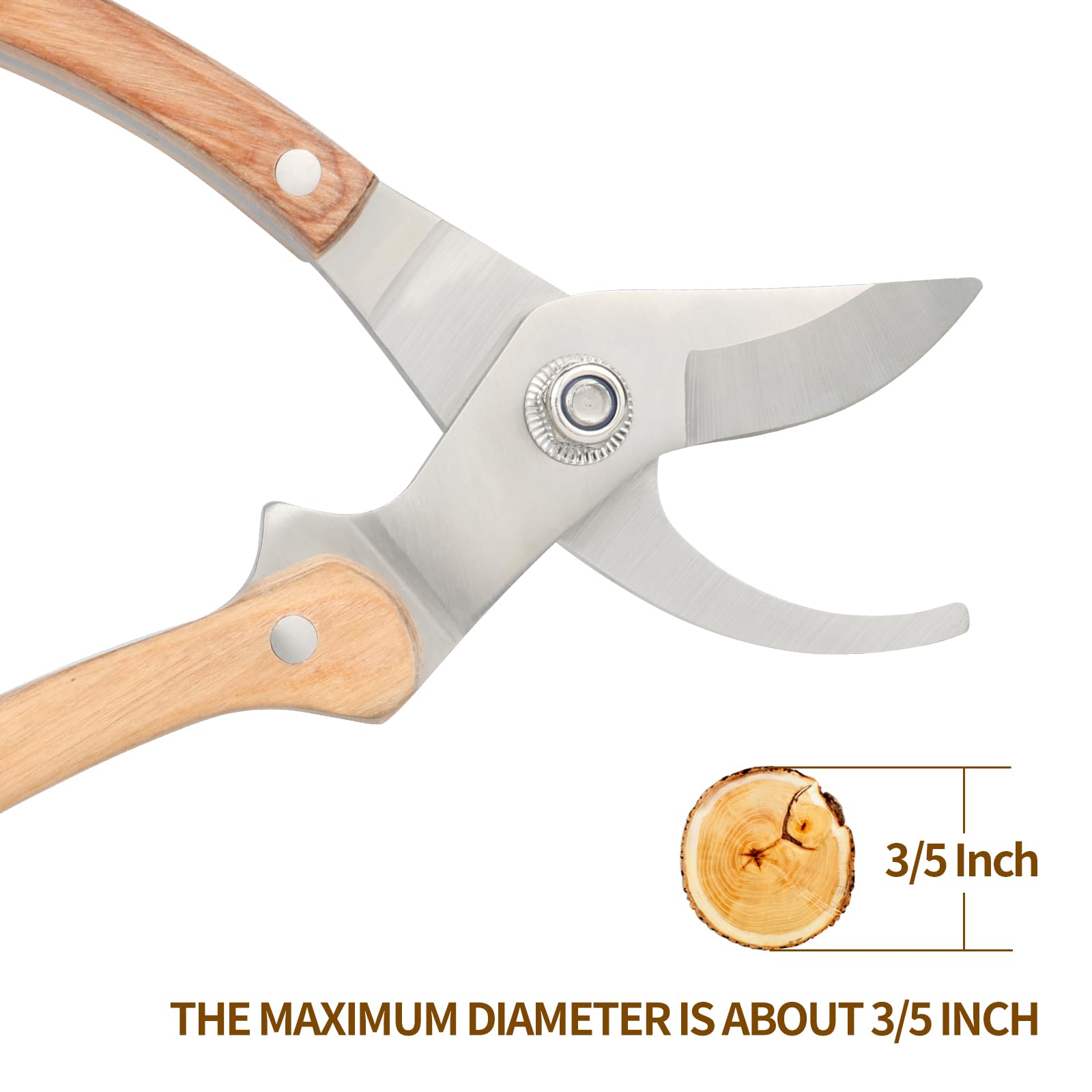 Premium Wooden Handle Pruning Shears - 3/5-Inch Cutting Capacity Garden Scissors with Sharp Stainless Steel Blades for Trimming Plants, Flowers & Shrubs | Ideal for Home Gardening, Landscaping & Outdoor Use