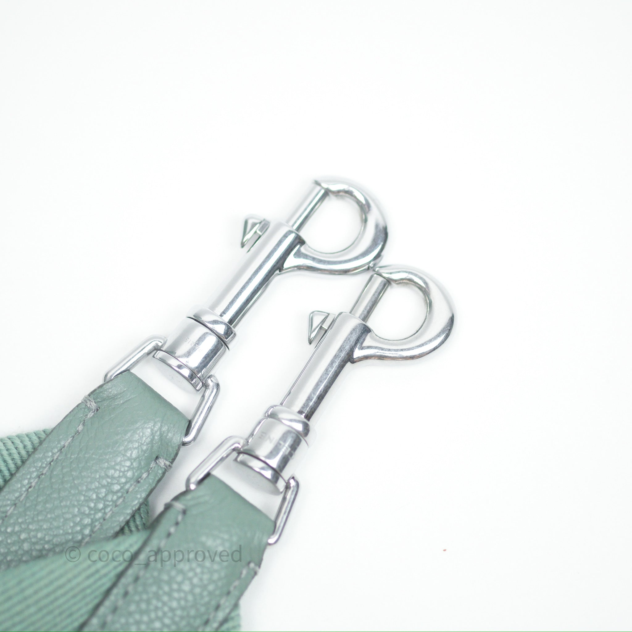 Celine Small Sangle Bucket Bag in Light Green Celadon | Grained Calfskin Leather with Silver Hardware | Perfect for Everyday Use, Work & Travel