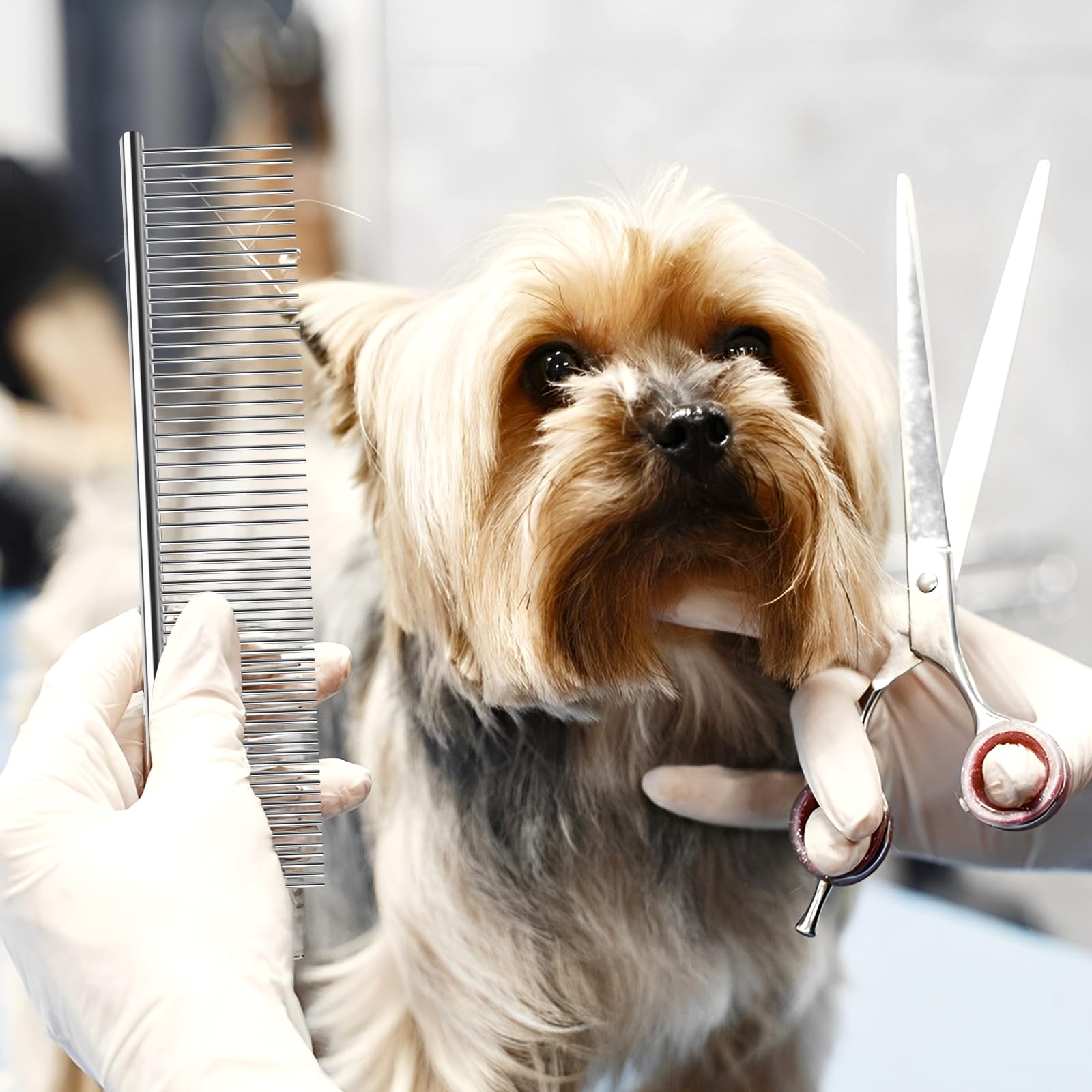 Molain 6 Pack Flea & Lice Comb for Dogs & Cats - Stainless Steel Pet Grooming Comb with Rounded Teeth, Double Sided Professional Tear Stain Remover & Dematting Tool - Safe for Small, Medium & Large Pets - Perfect for Home Grooming & Pet Salon Use