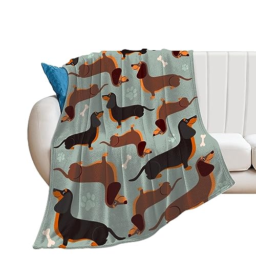 Dachshund Dog-pp