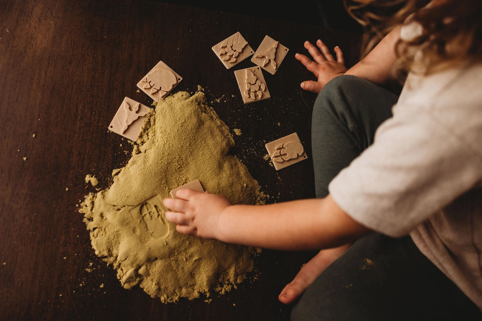 Dinosaur Footprint Eco-Friendly Stamp Set for Kids - Creative Arts & Crafts, Scrapbooking, and DIY Projects