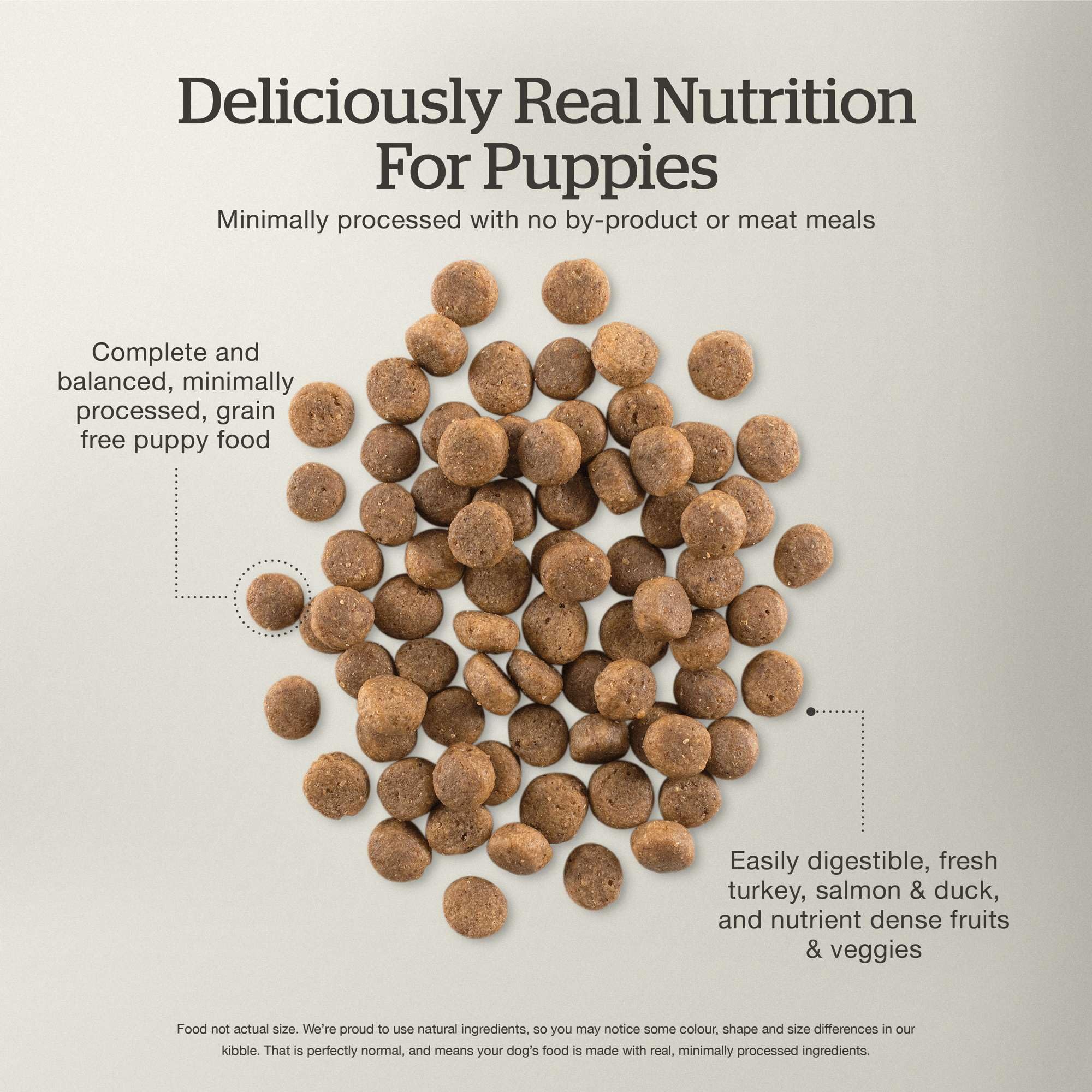 Now Fresh Grain-Free Dry Dog Food - Real Turkey, Salmon & Duck Puppy Recipe for All Breed Sizes (22 lb Bag) | Perfect for Growing Puppies & Active Dogs