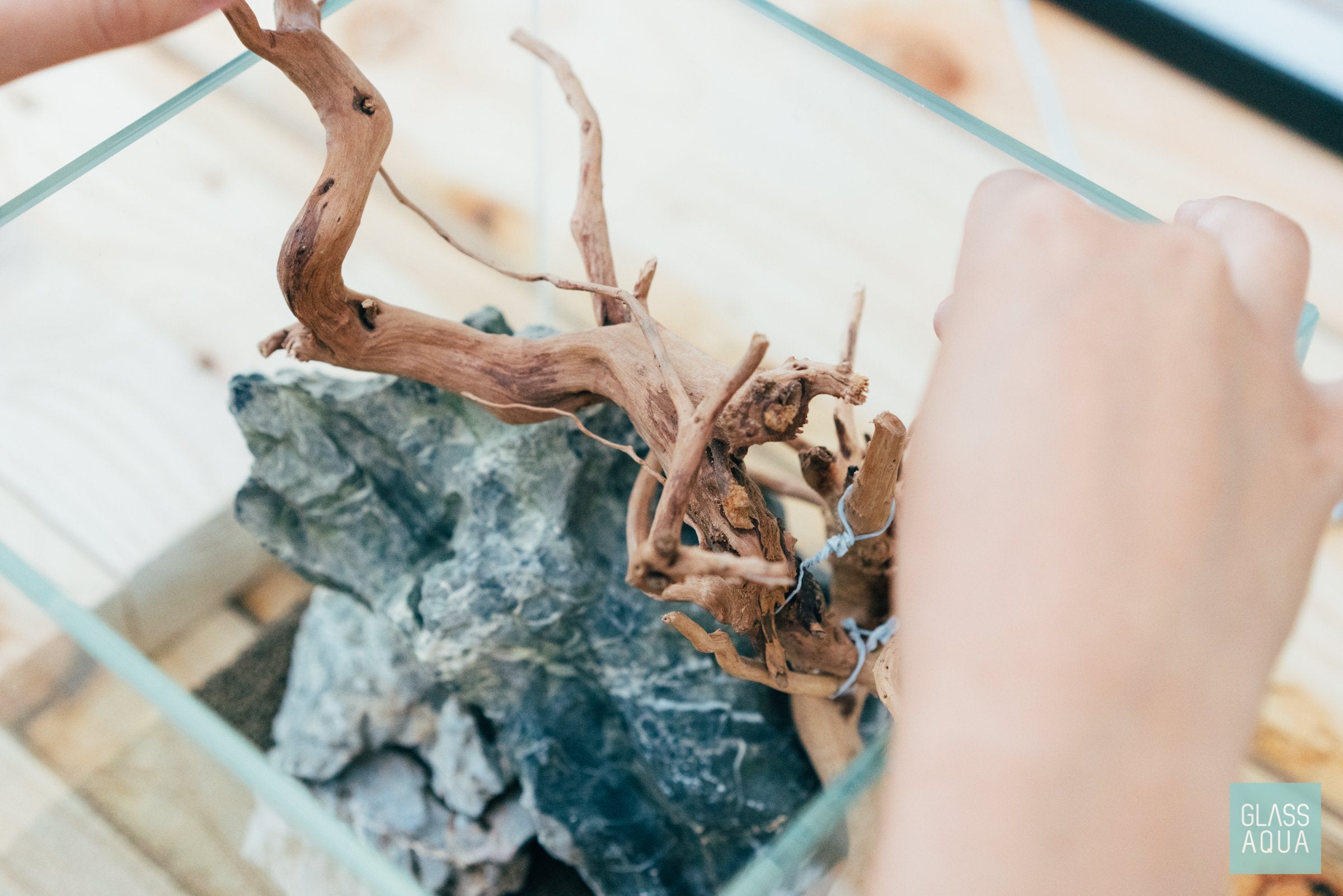 Natural Spider Wood for Aquascaping - Unique Nano Driftwood for Fish Tanks, Shrimp Habitats & Reptile Terrariums - Perfect for Aquarium Decoration & Aquatic Plant Anchoring