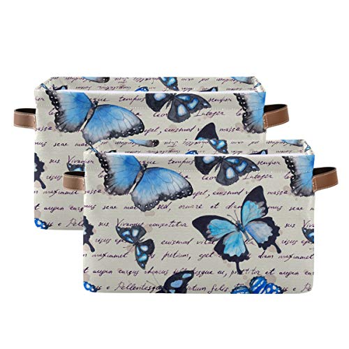 Butterflies