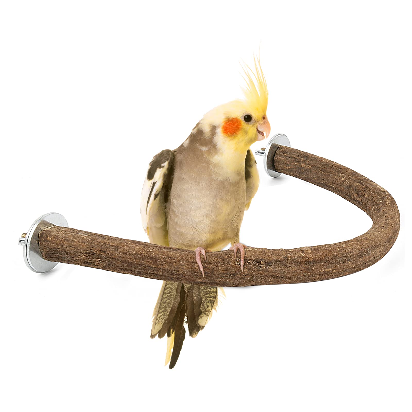 RYPET Natural Wood Parrot Perch Stand - U-Shaped Bird Swing for Cockatiels, Parakeets & Small Birds - Perfect for Cages, Play Gyms & Bird Enrichment Activities