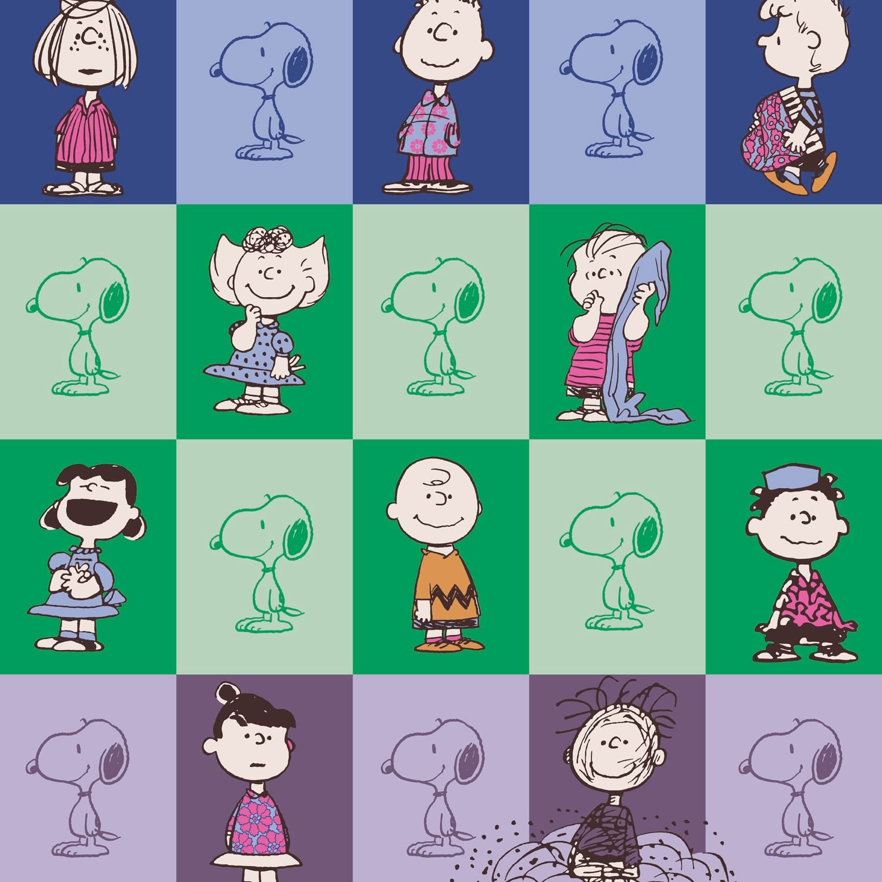 Soft Peanuts Plush Throw Blanket - Snoopy & Charlie Brown Fleece Blanket for Couch, Bed, Sofa - Cozy Gift for Kids & Adults - Perfect for Movie Nights, Camping & Winter Snuggles