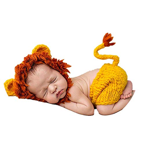 Baby Lion