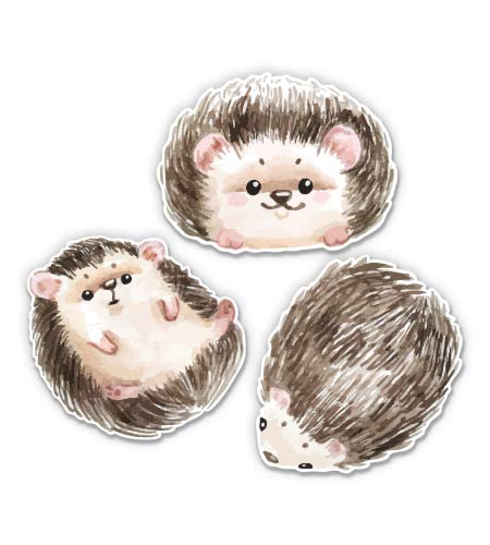 Adorable Hedgehog Vinyl Stickers Set - Waterproof Decals for Laptops, Water Bottles & DIY Crafts - Cute Animal Stickers for Kids Room Decor
