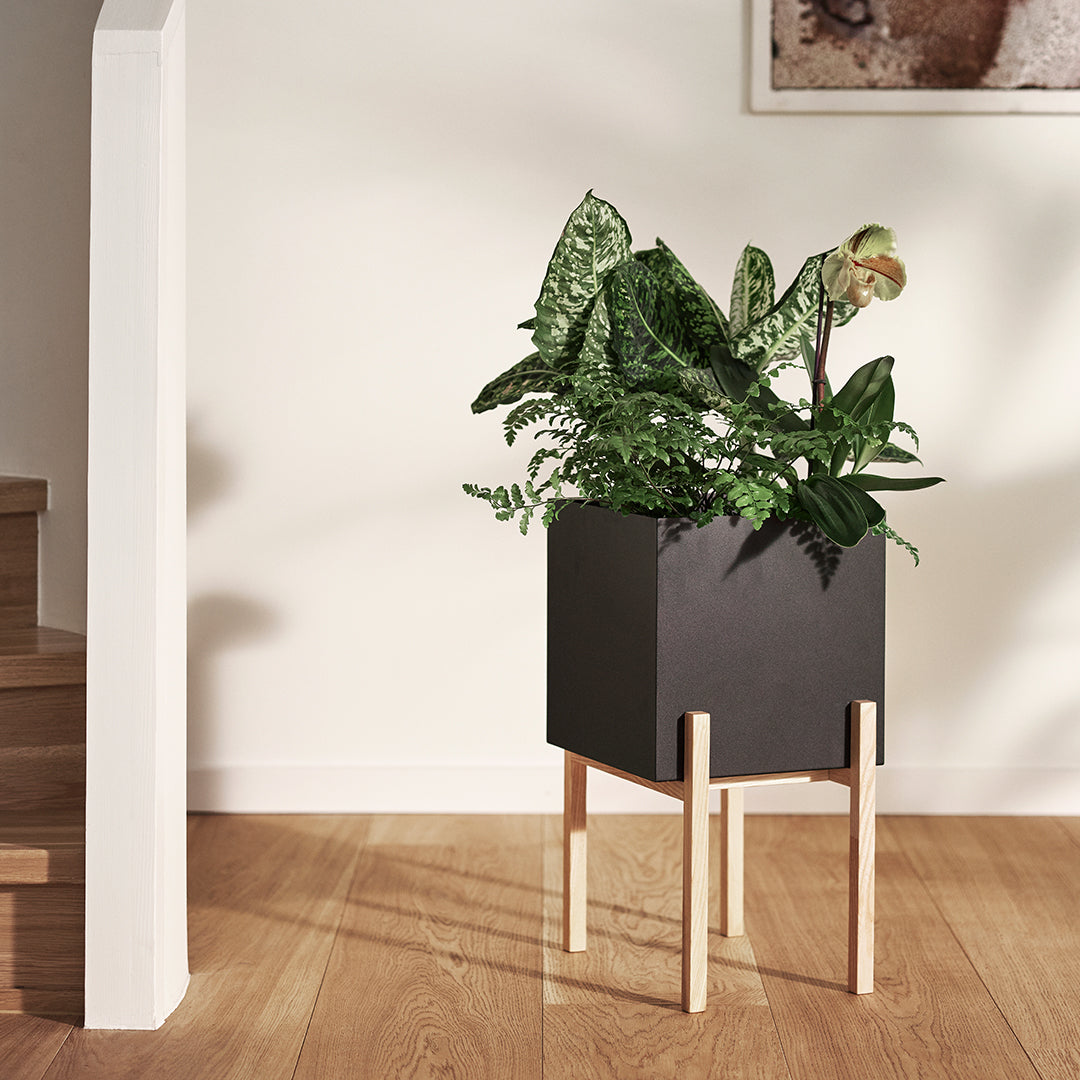 Botanic Pedestal Pot - Elegant Indoor Plant Stand for Home Decor, Living Room, Office & Garden - Perfect for Succulents, Flowers & Houseplants