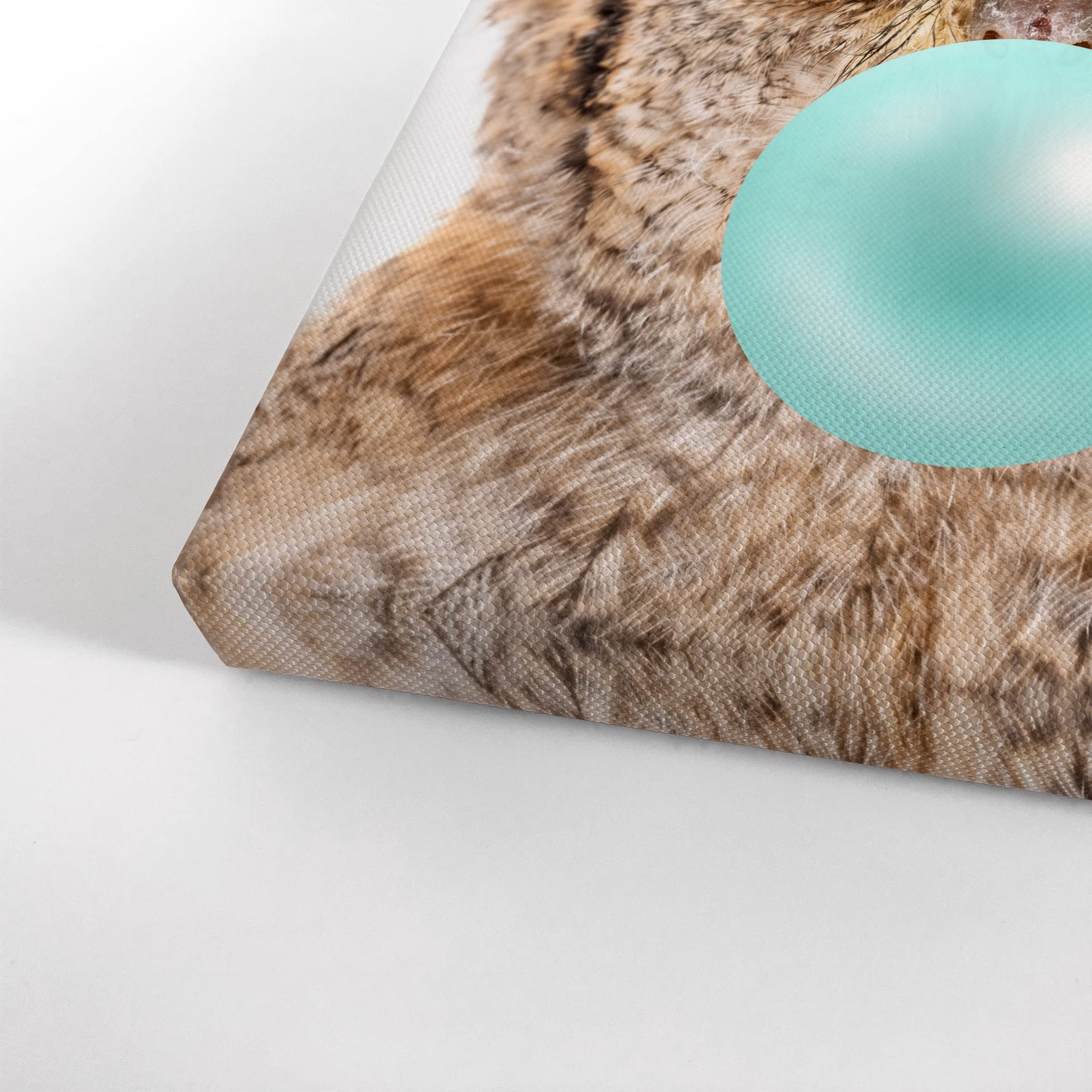 Eurasian Scops Owl Chewing Blue Bubble Gum Canvas Wall Art Print - 28x19 Inch Pop Animal Art for Office, Living Room, Bedroom & Nursery Decor | African Safari Theme Kids Room Wall Decor