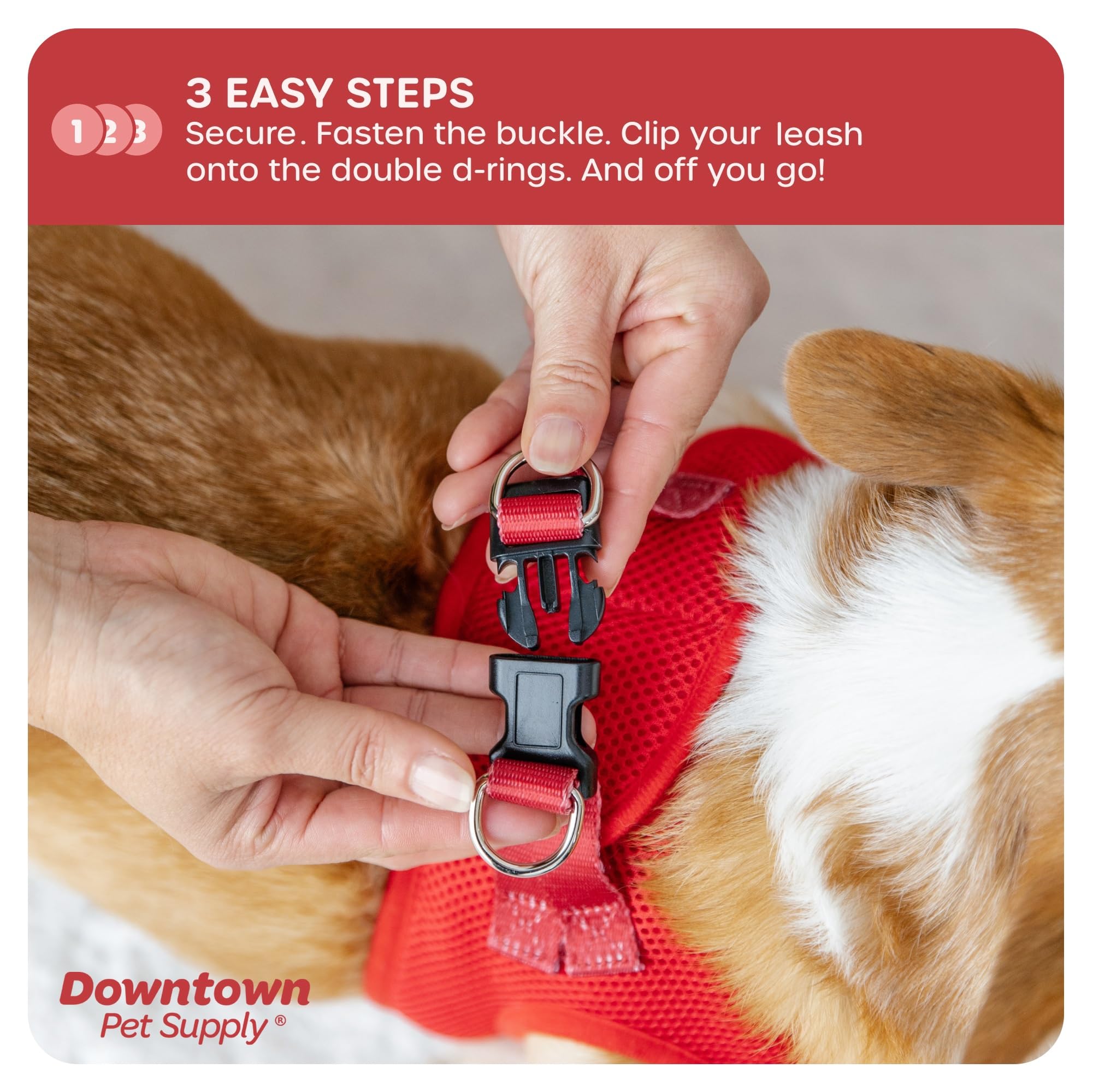 Downtown Pet Supply Step-in No-Pull Dog Harness for Small Dogs & Cats - XX-Small Adjustable Pet Harness with Padded Mesh Fabric & Reflective Trim - Lightweight Buckle Strap Harness for Teacup Puppies (Red) - Perfect for Walking, Training & Outdoor Adventures