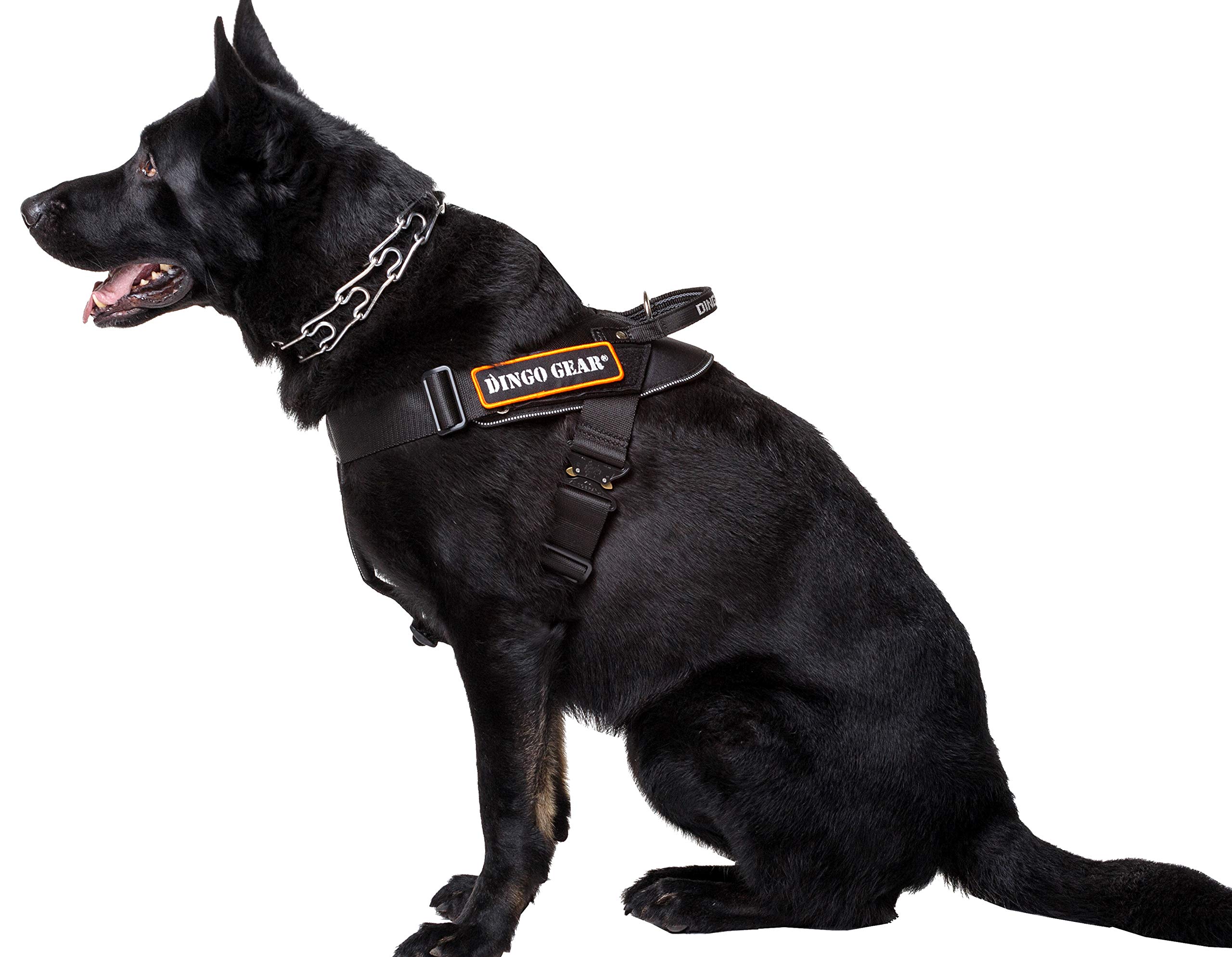 DINGO GEAR Multifunctional Dog Harness for Work, Guard Dog Training, K9 & IPO - Cobra System Handmade Black S03196 Size L - Perfect for Police Dogs, Search & Rescue, and Outdoor Adventures