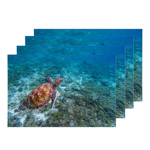 Ocean Marine Organism Biological Green