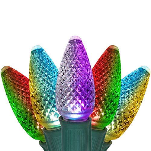 25 ft C9 LED Color Changing Christmas Lights - Wintergreen Lighting with Green Wire, 25 Multicolor Bulbs for Indoor/Outdoor Holiday Decorations, Tree, Patio & Party Lighting