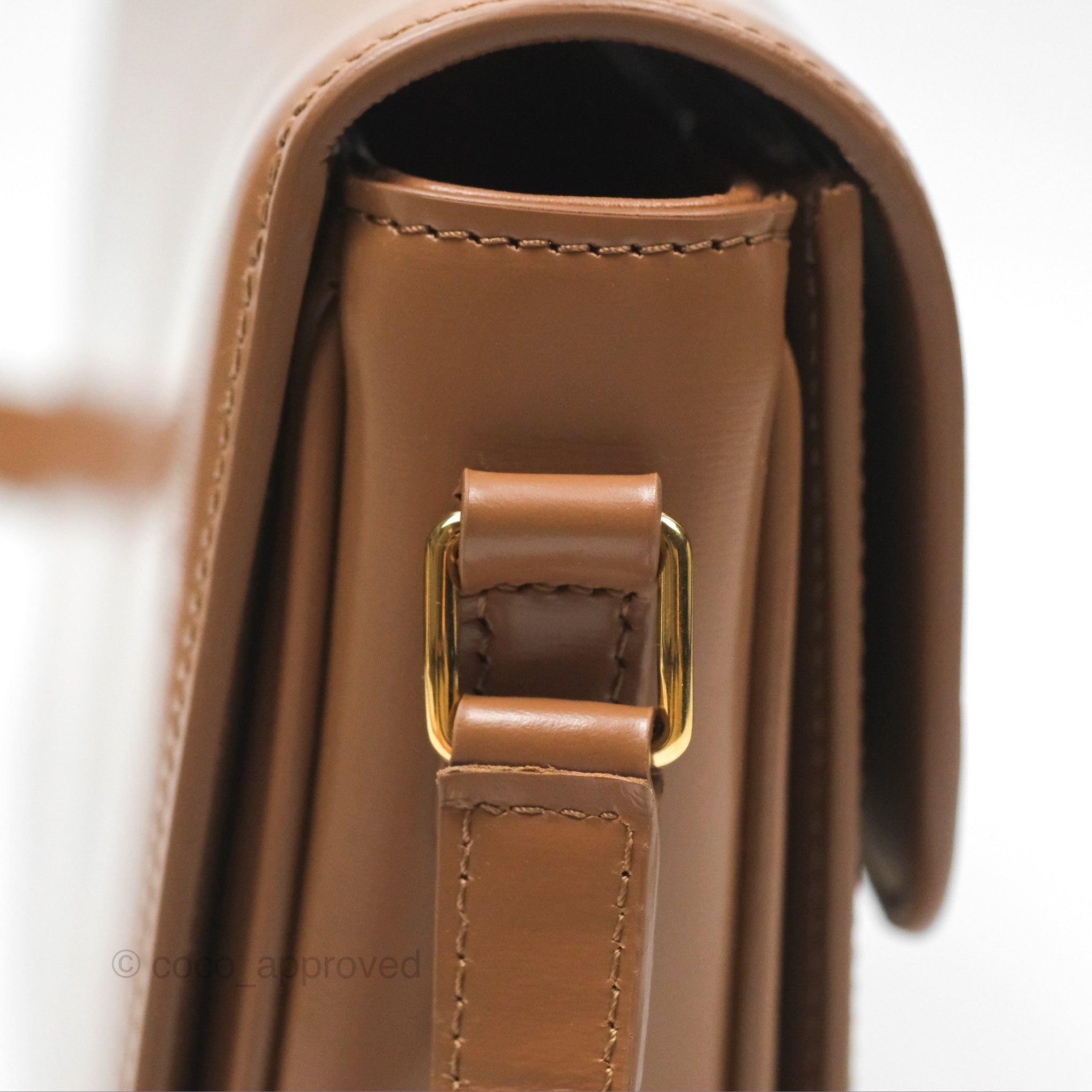 Celine Teen Triomphe Bag - Shiny Calfskin Leather Crossbody Purse in Bronze | Perfect for Date Night, Parties & Everyday Elegance