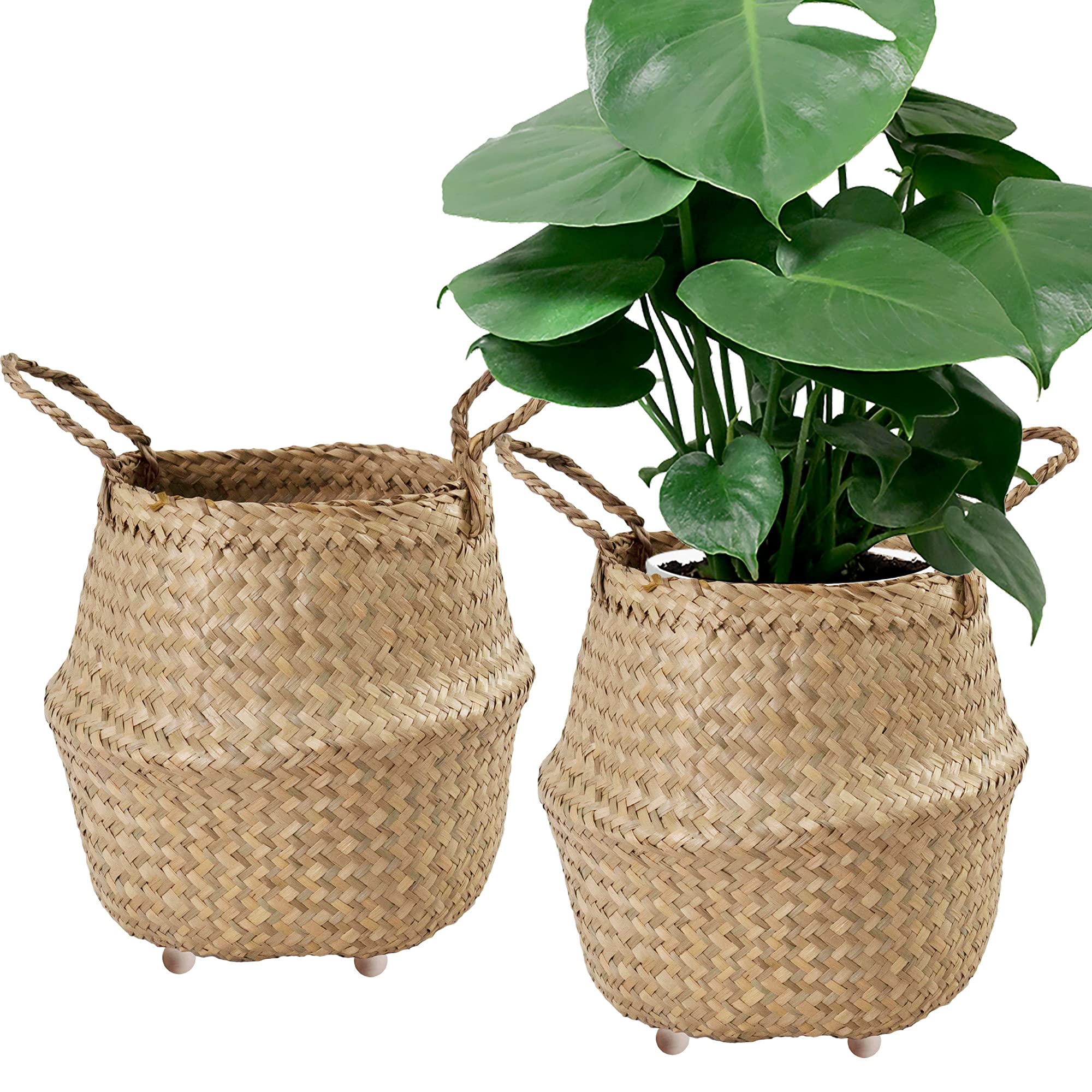 Seagrass Belly Basket with Handles - Beaded Planter Pot Cover for Indoor Plants, Nursery & Playroom Storage, Wicker Laundry Hamper - Farmhouse Decor Basket for Home, Living Room & Bedroom Organization