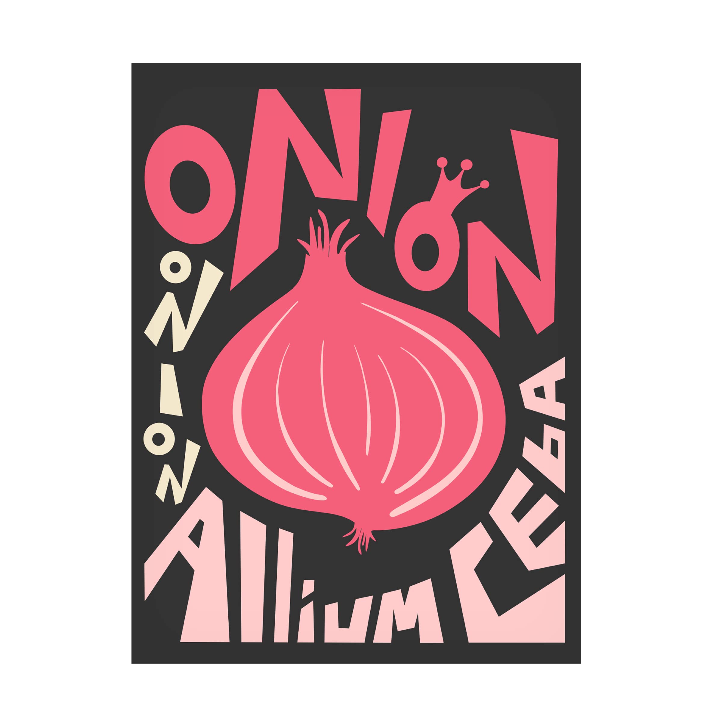 Trademark Fine Art 'Kitchen Onion' Canvas Wall Art Print by Ayse - Modern Home Decor for Kitchen, Dining Room & Farmhouse Style Interiors