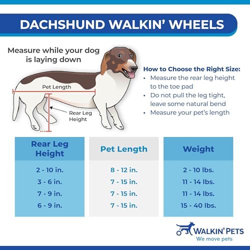 Dachshund Wheelchair for Small Dogs 2-30+ lbs - Vet Approved Rear Leg Support - Adjustable Dog Mobility Aid for IVDD, Arthritis & Recovery - Perfect for Indoor/Outdoor Use